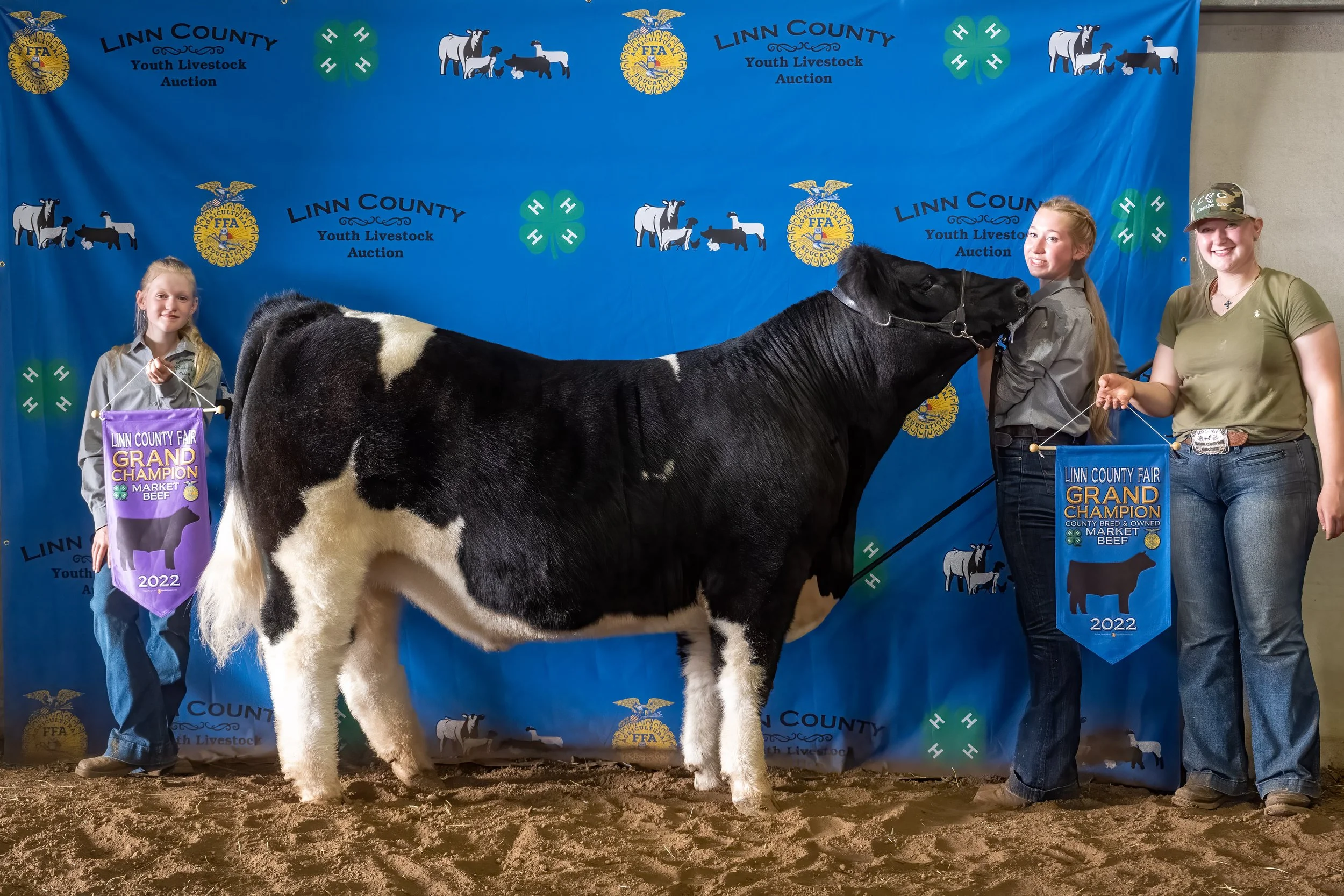 Beef 08 (8827).jpg