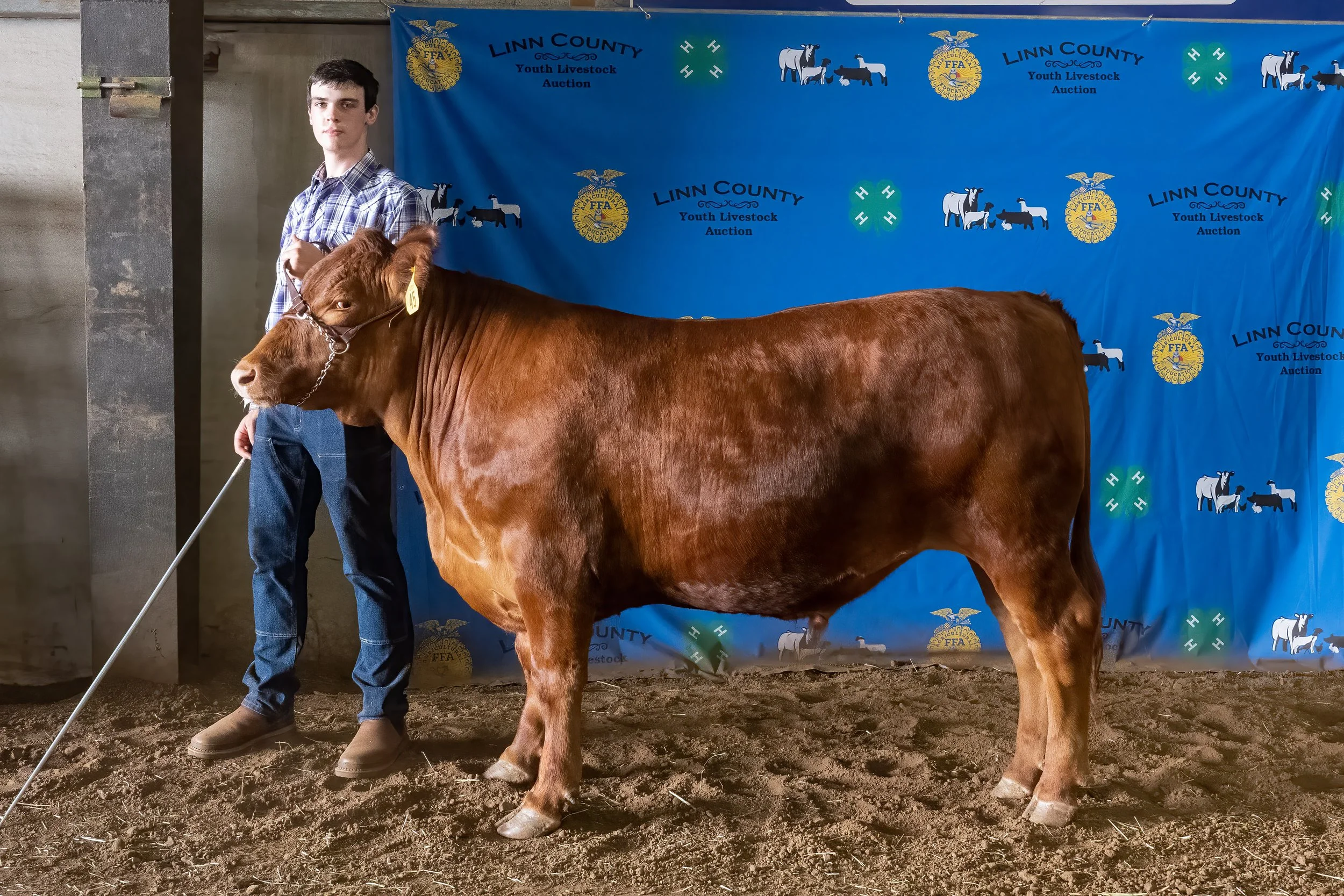 Beef 15 (8535).jpg