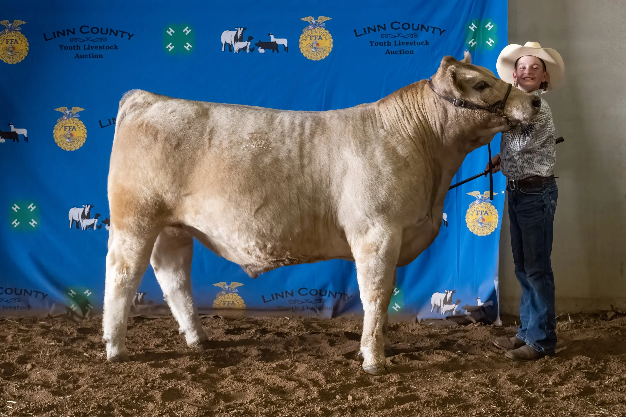 Beef 16 (8909).jpg