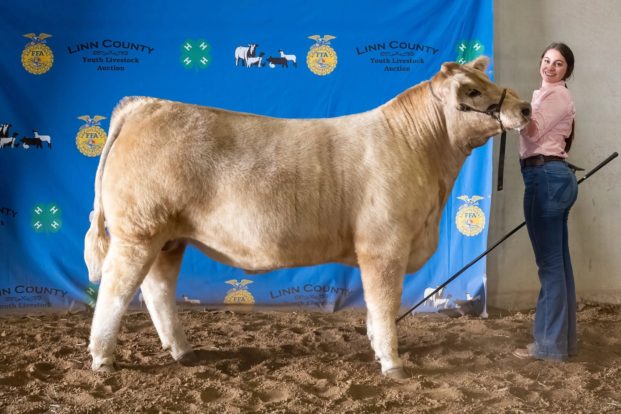Beef 18 (8693).jpg