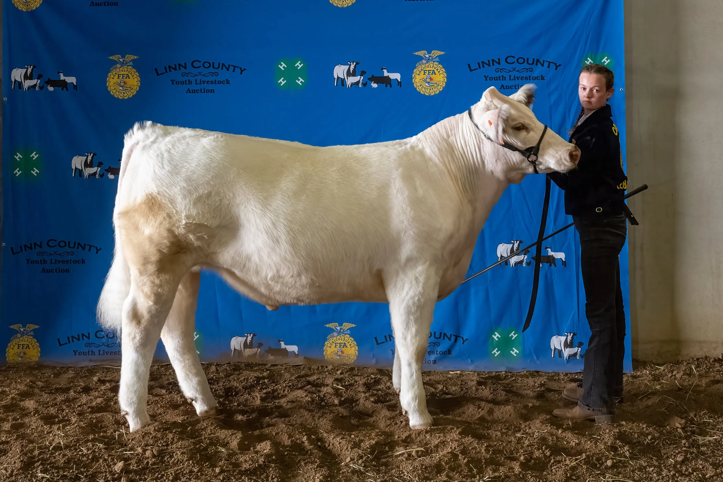 Beef 21 (8105).jpg