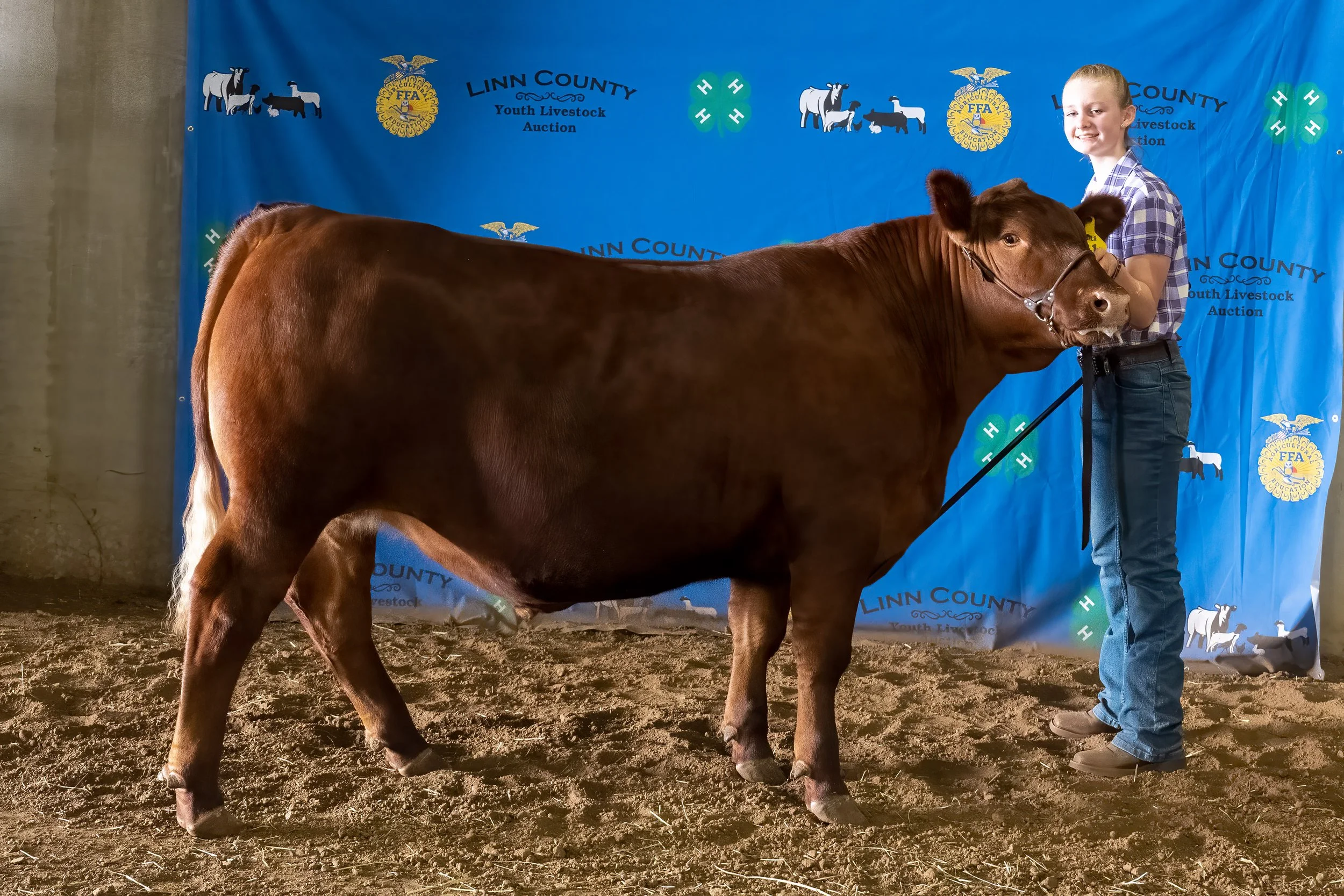 Beef 21 (8637).jpg