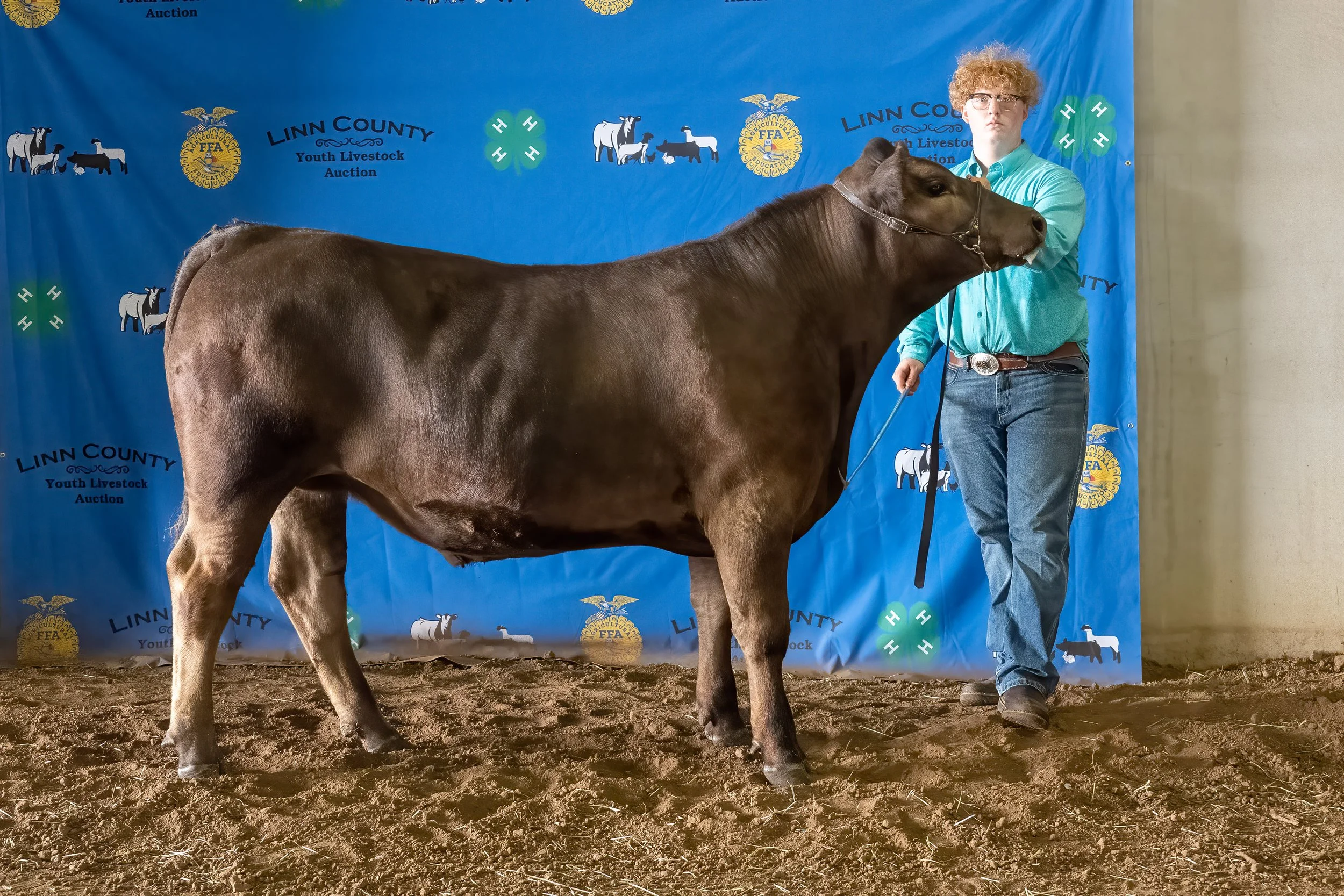 Beef 22 (8336).jpg