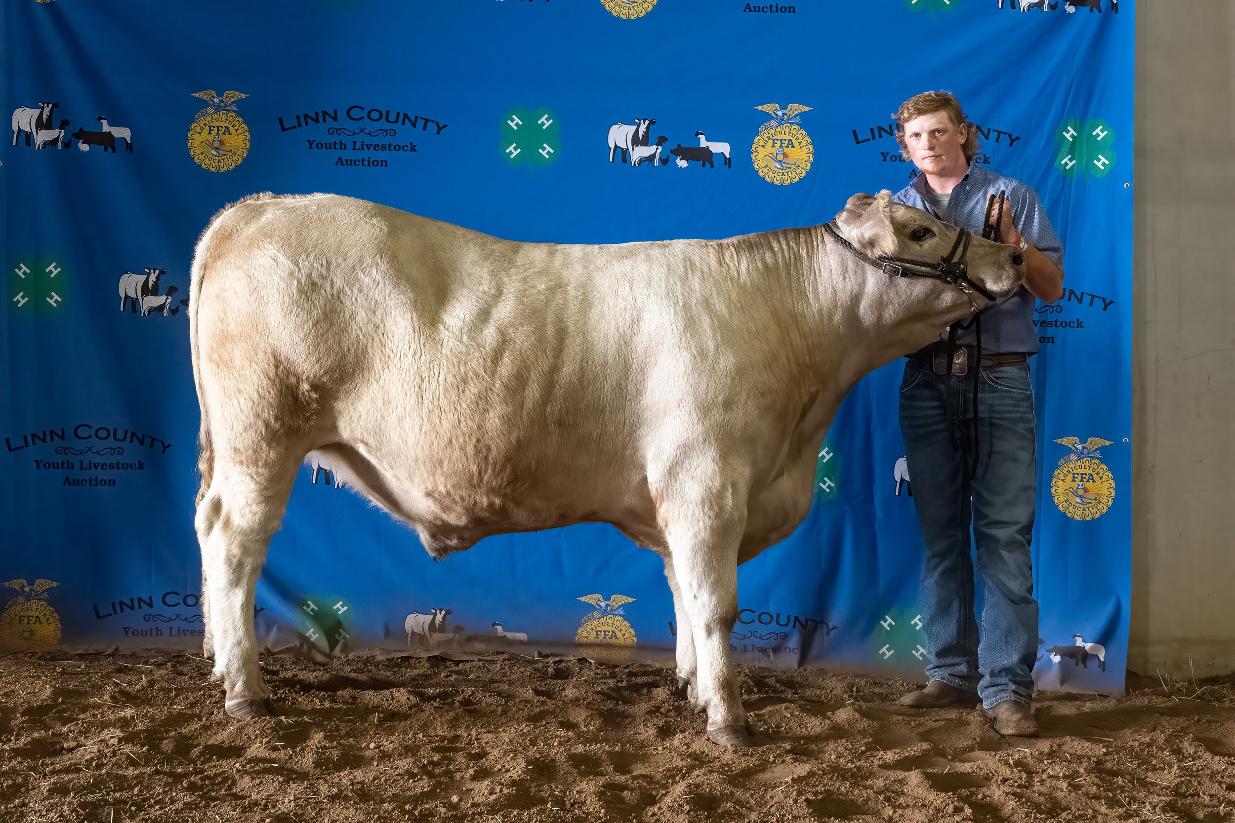 Beef 23 (8560).jpg