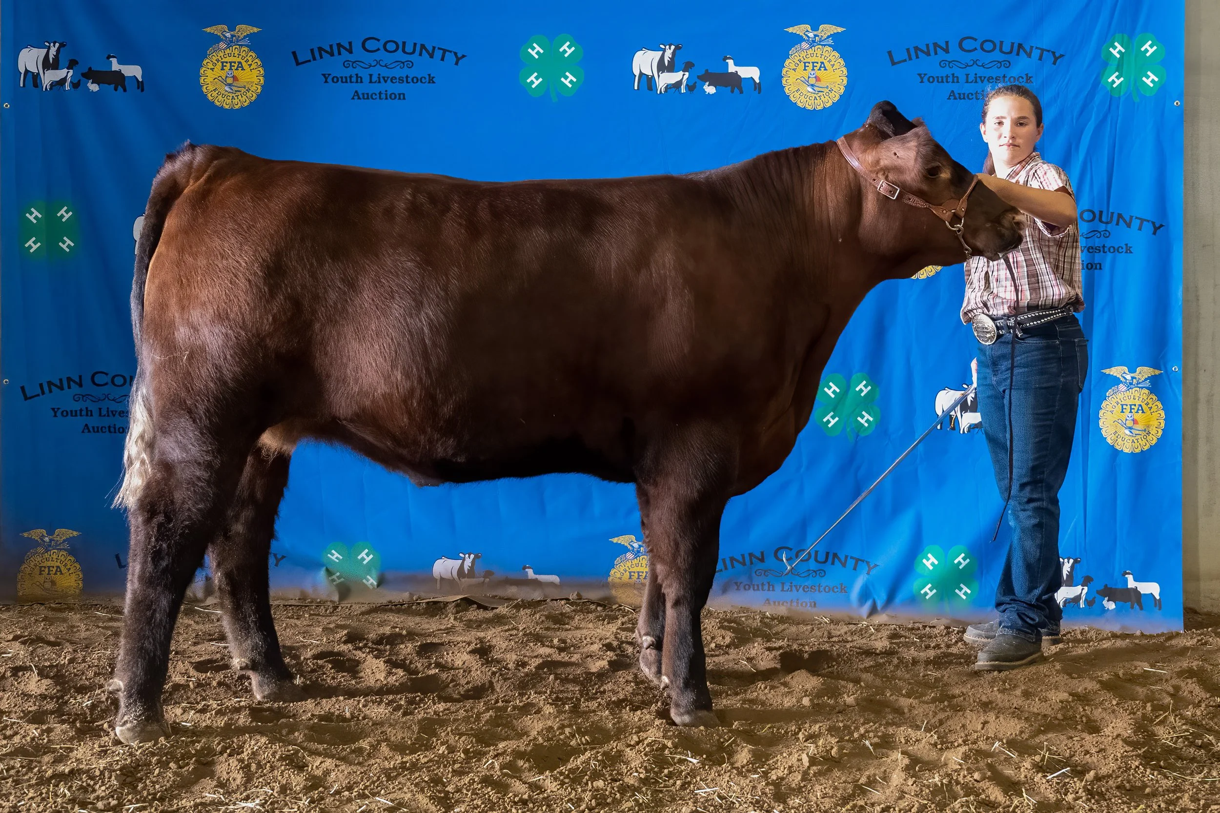 Beef 26 (8327).jpg