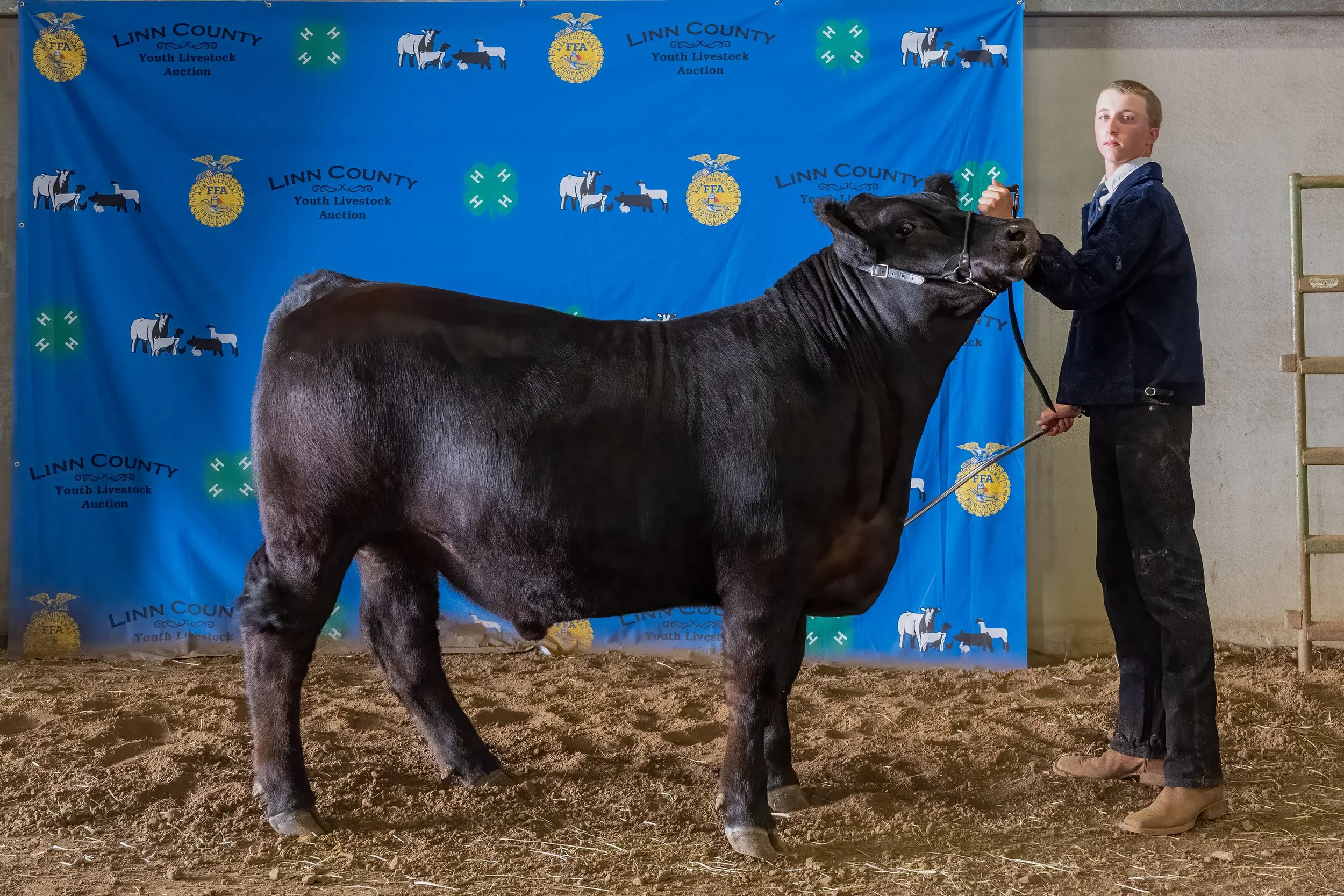Beef 28 (8404).jpg