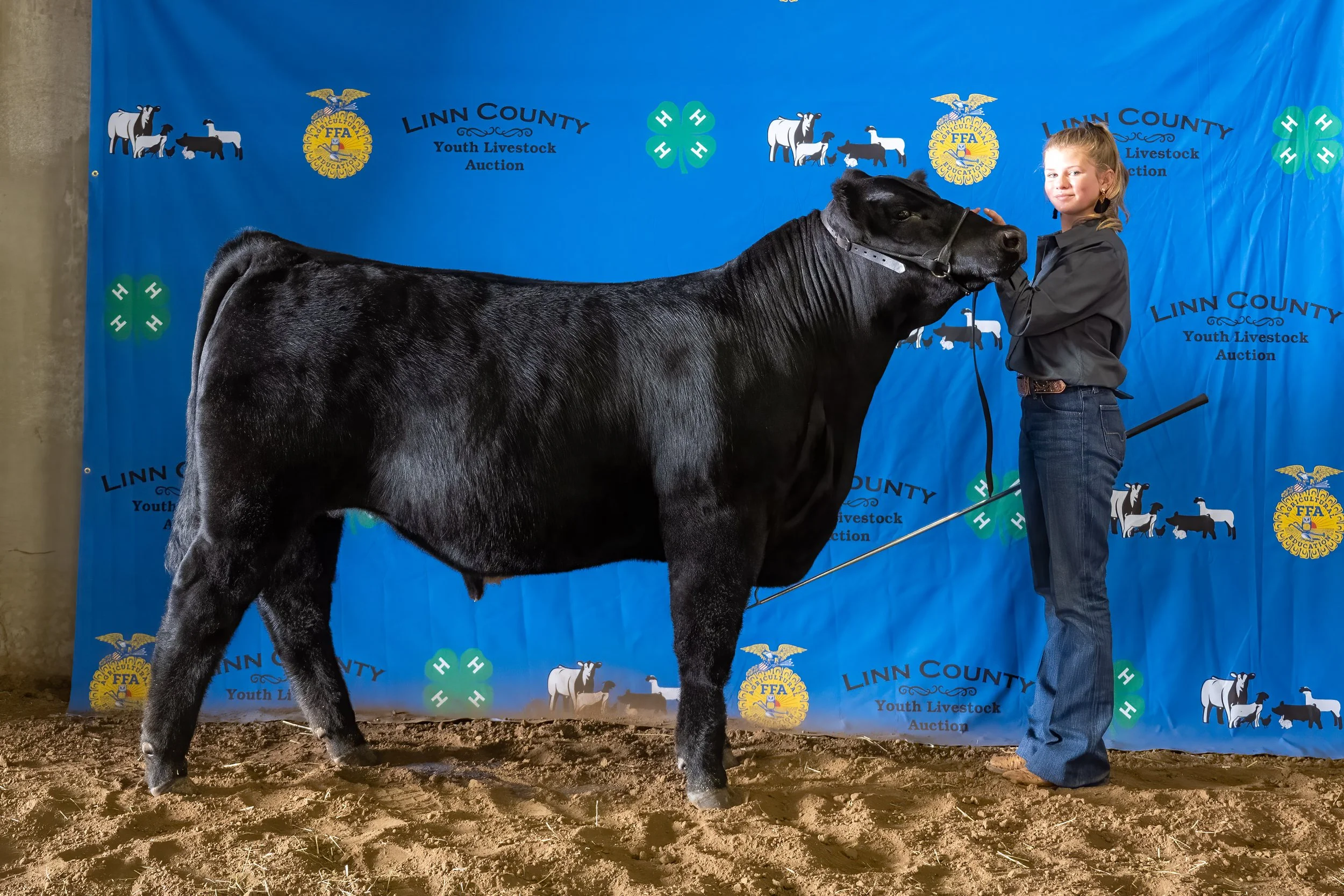 Beef 31 (8101).jpg