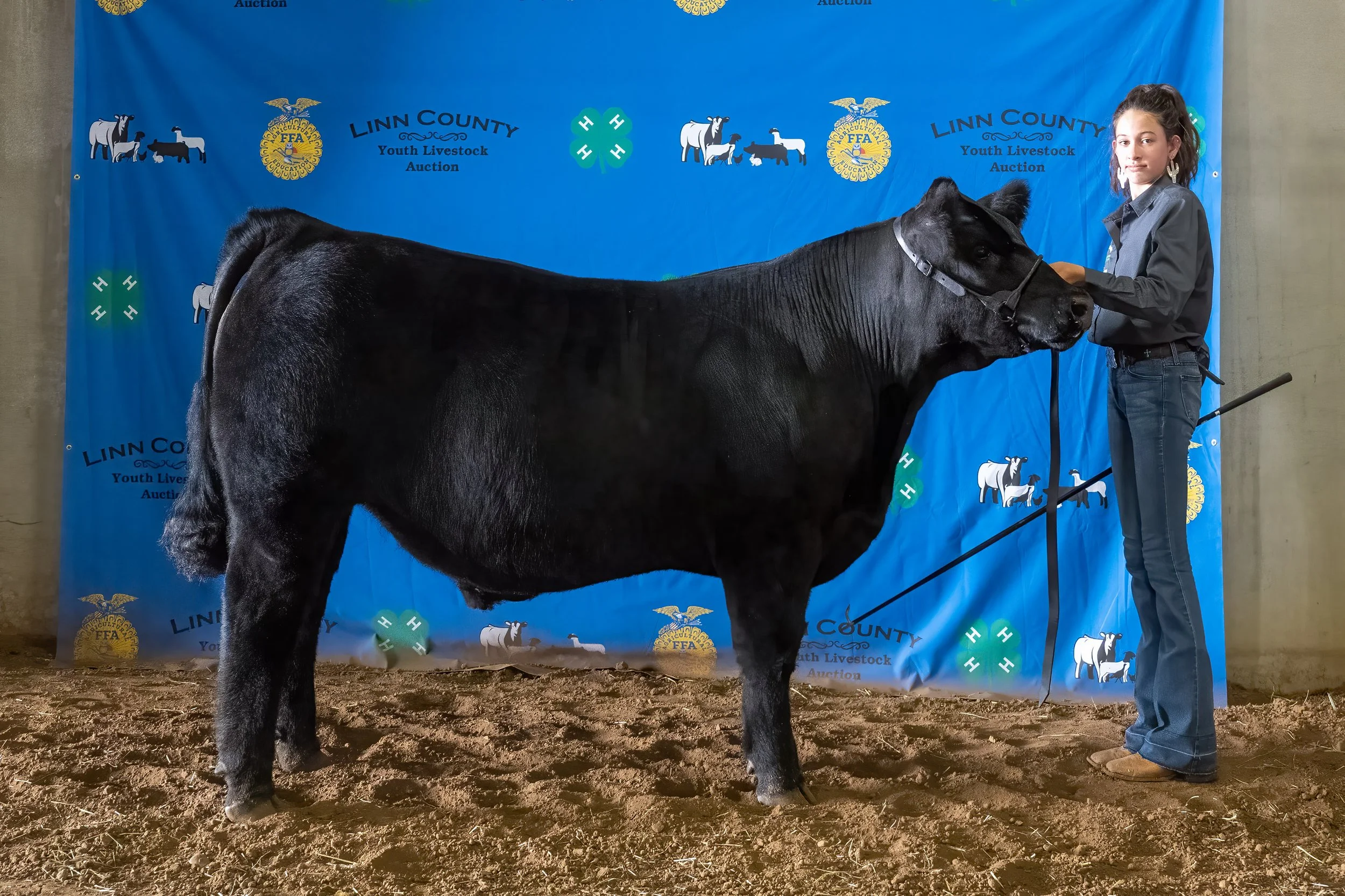 Beef 34 (8378).jpg