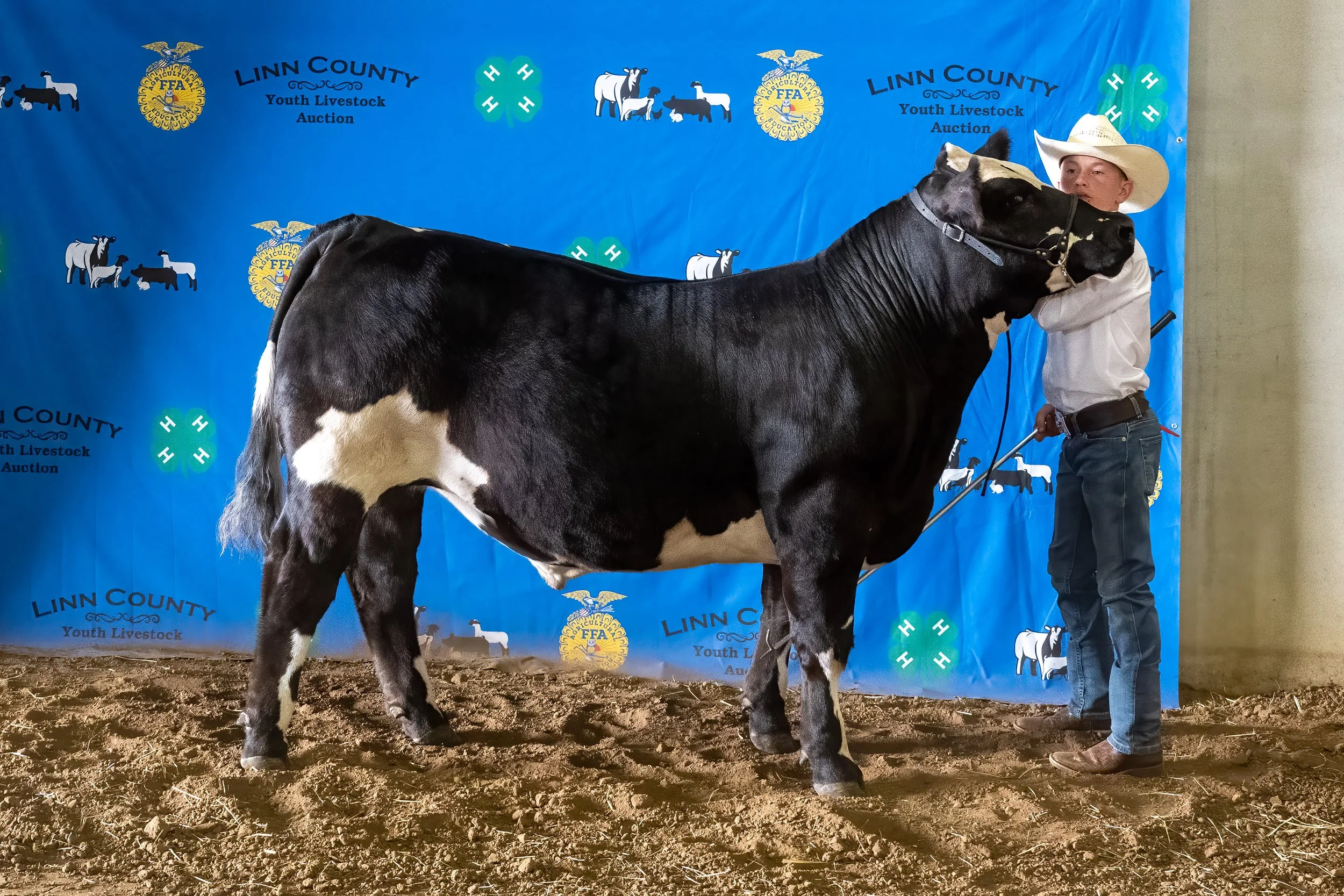 Beef 32 (8177).jpg