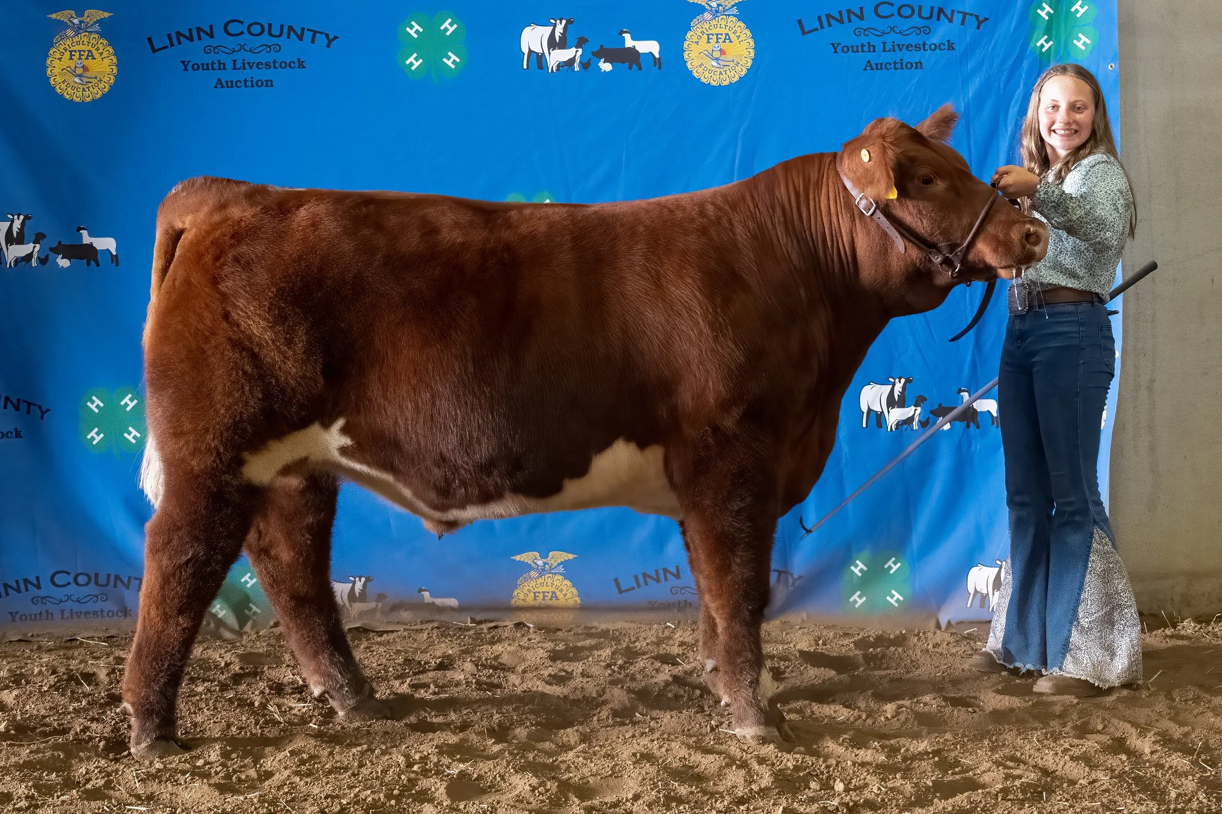 Beef 37 (8716).jpg