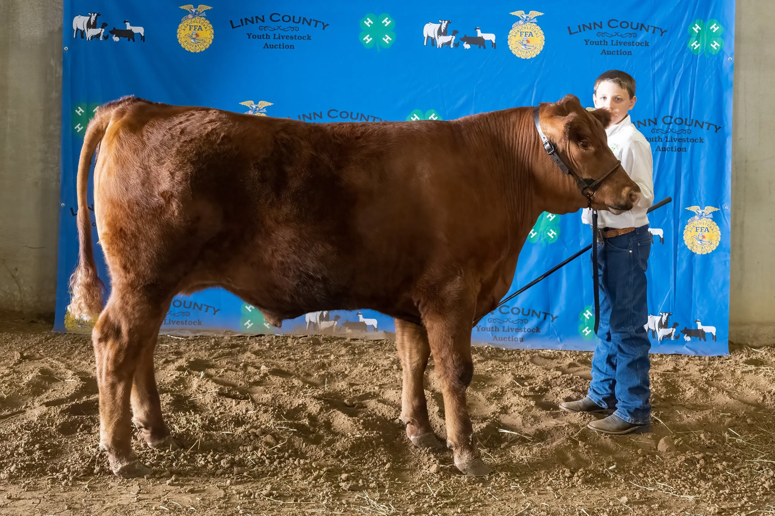 Beef 41 (8081).jpg