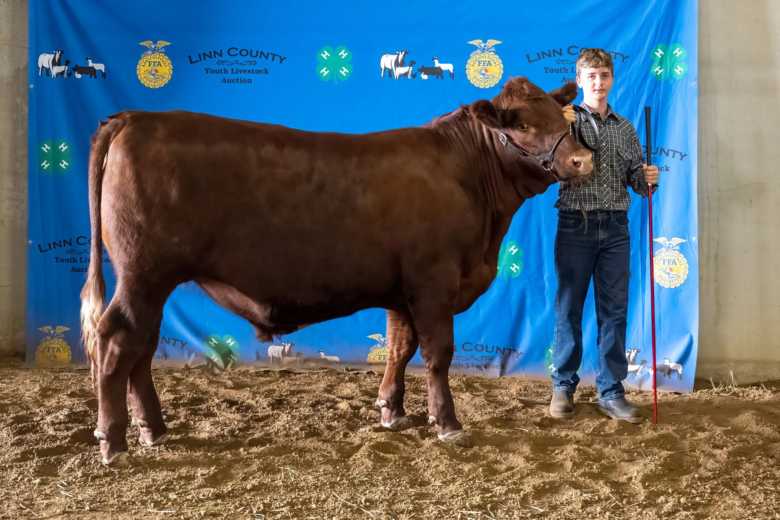 Beef 43 (8595).jpg