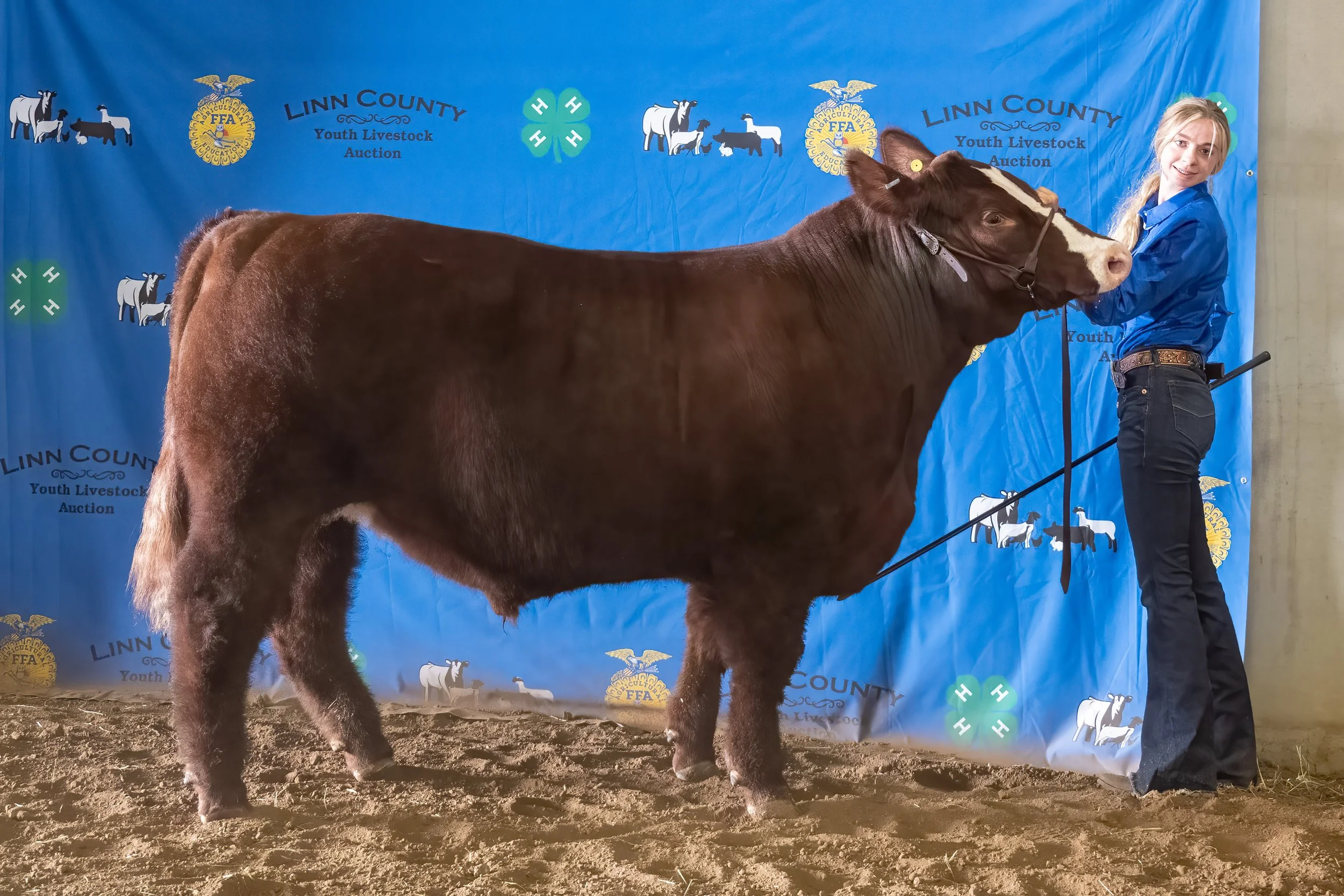 Beef 48 (8605).jpg
