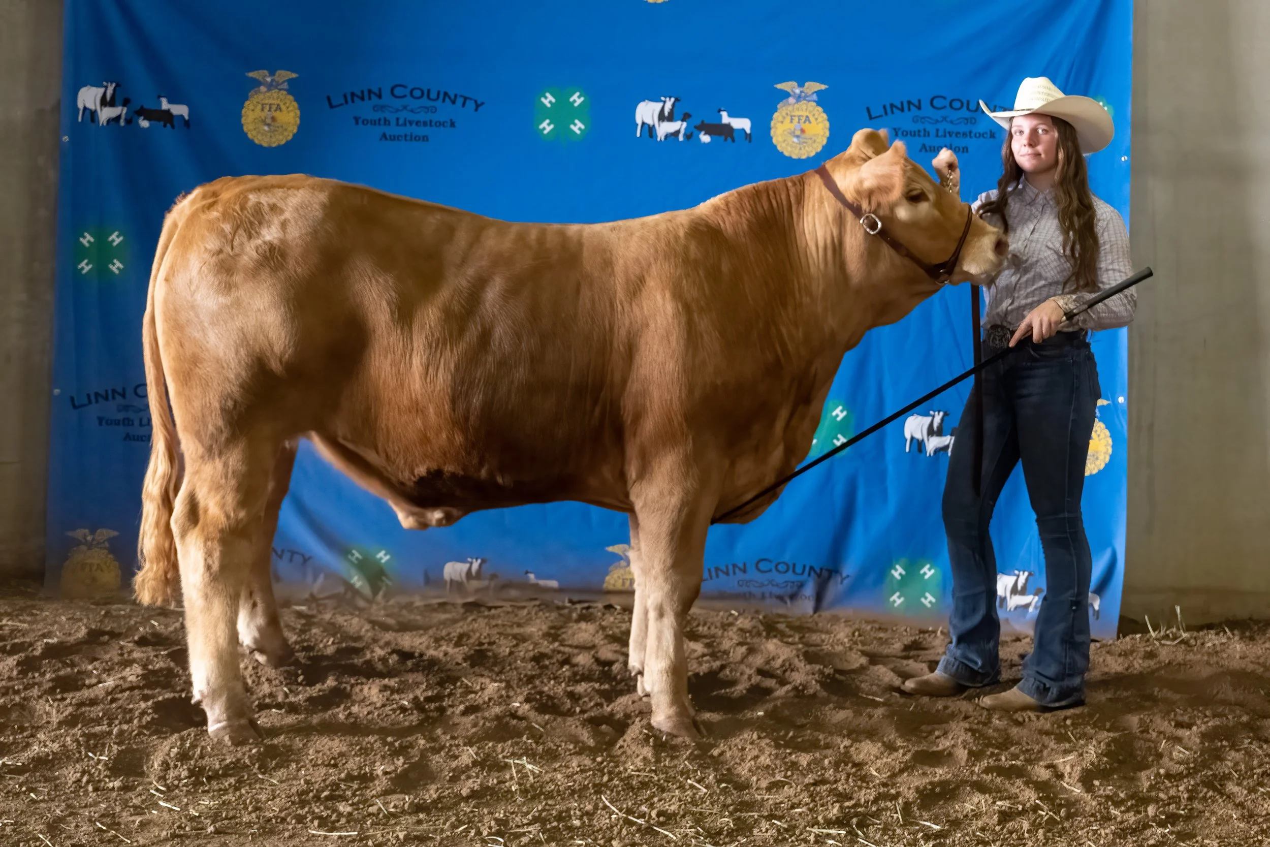 Beef 54 (8579).jpg