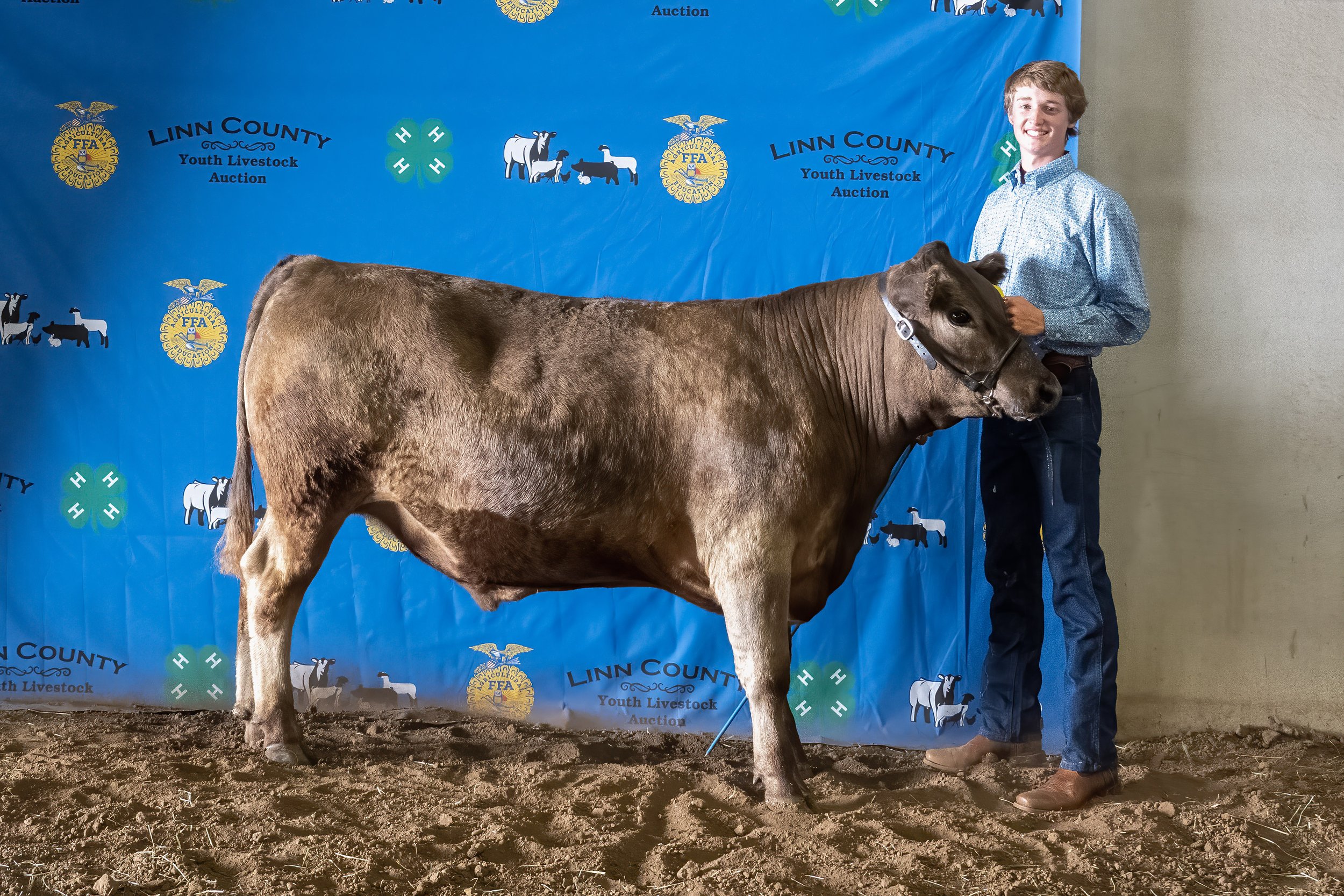 Beef 55 (8232).jpg