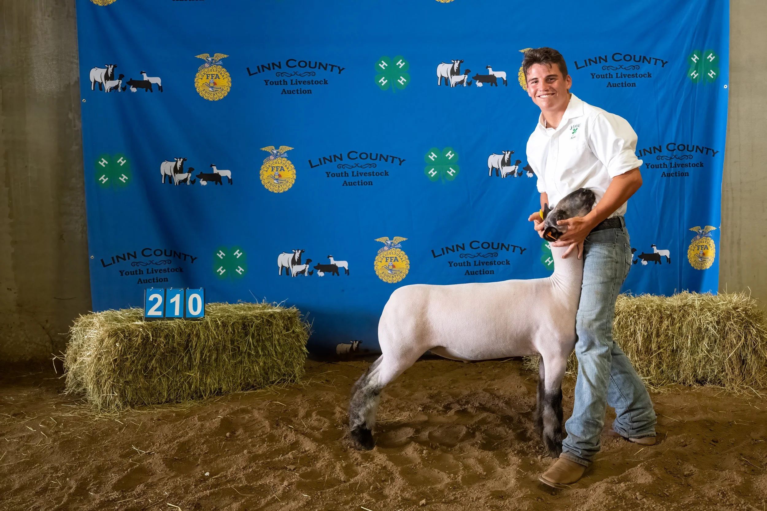 Sheep 210 (0121).jpg