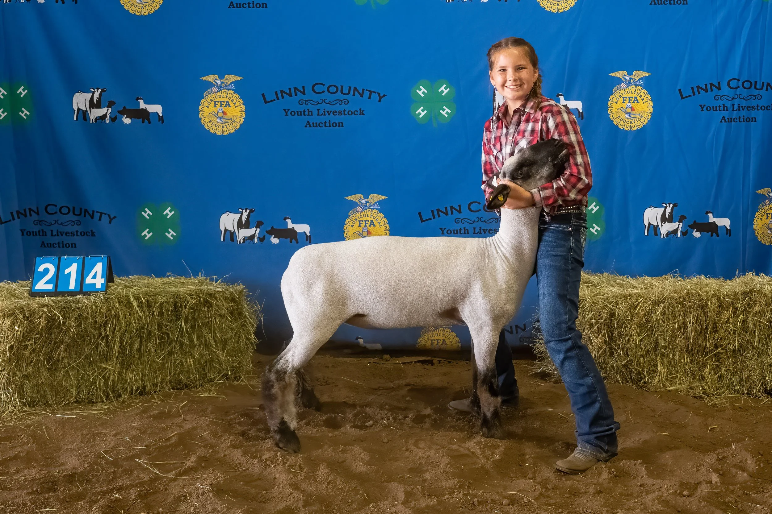 Sheep 214 (0069).jpg
