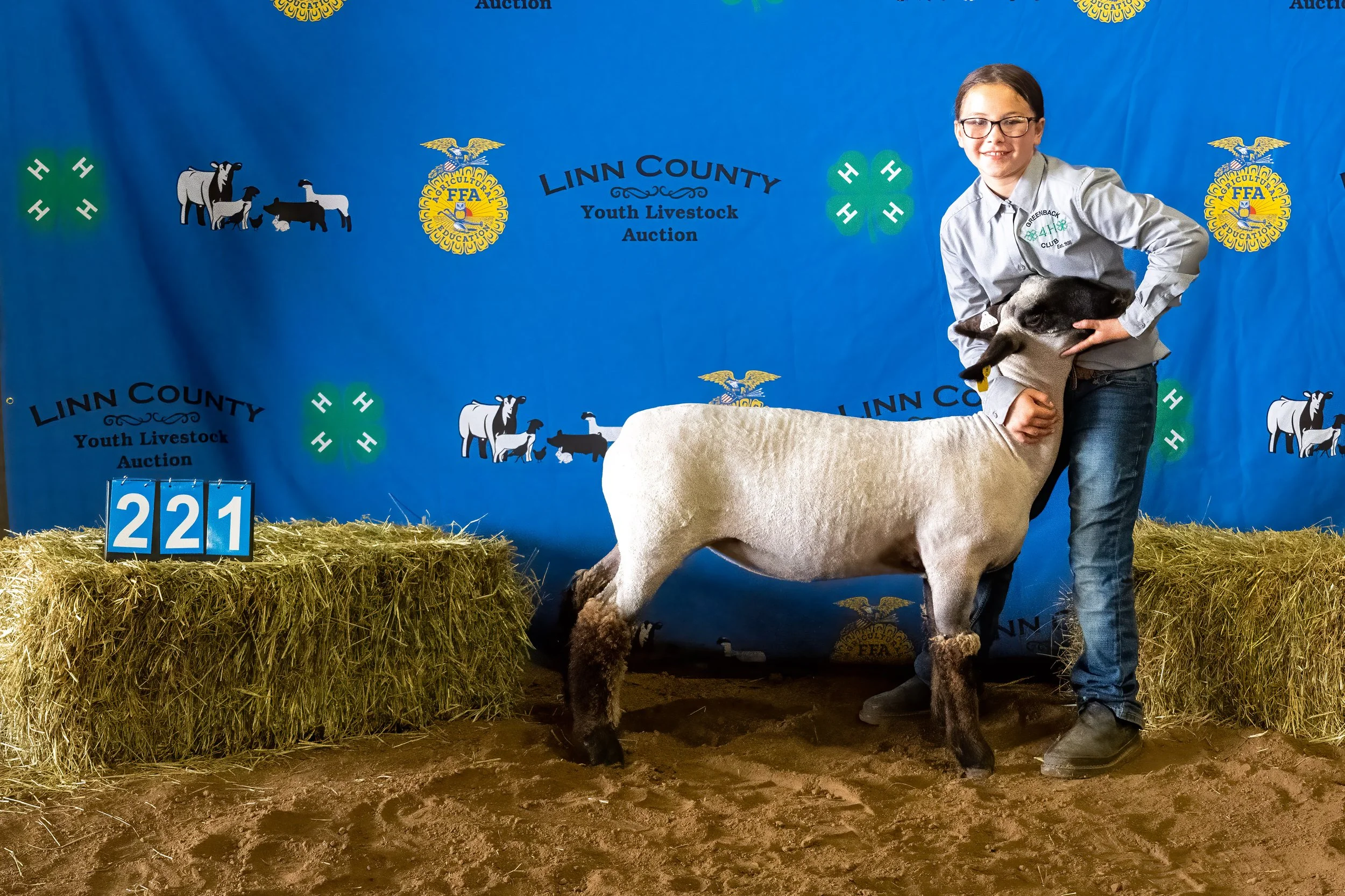 Sheep 221 (0249).jpg