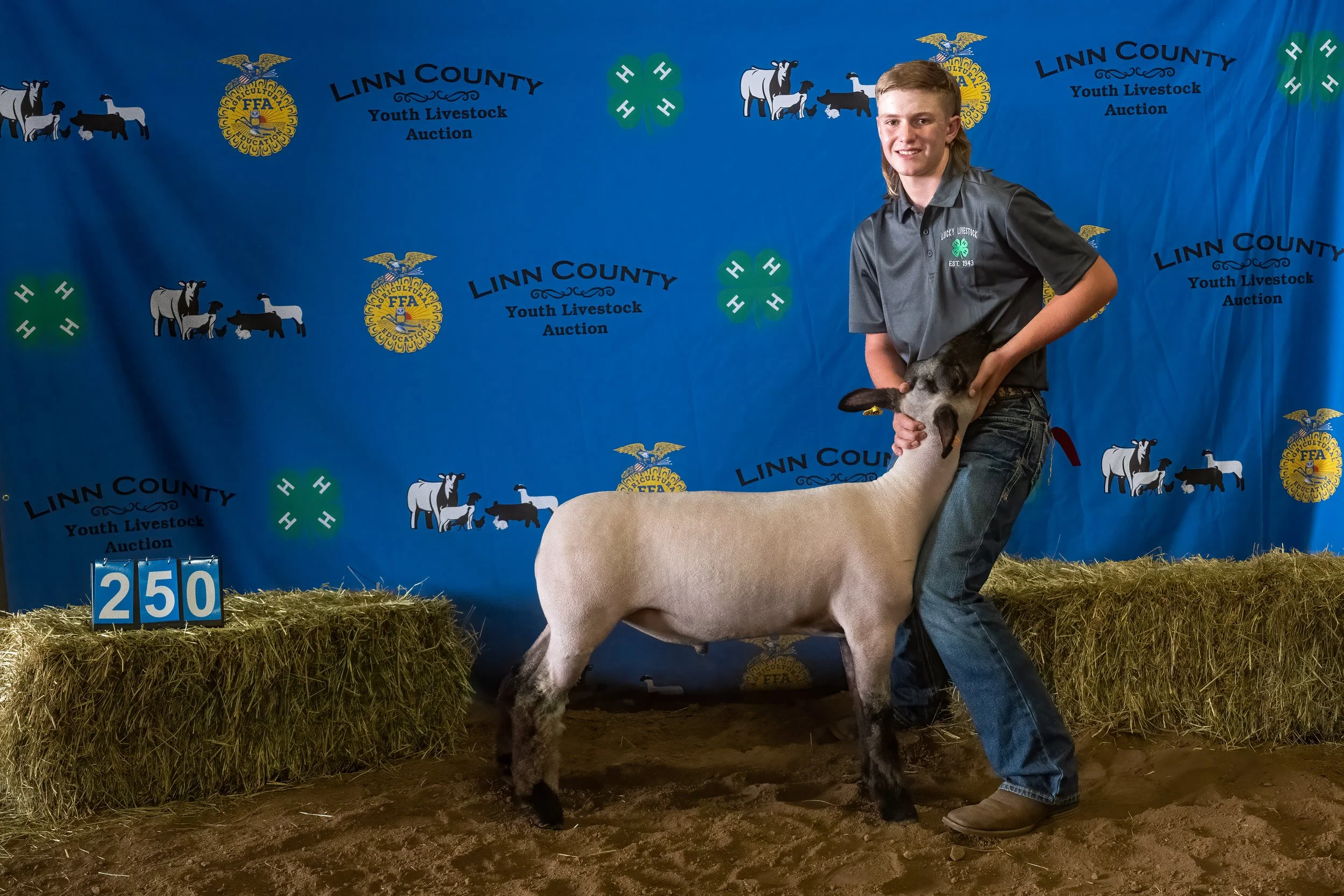 Sheep 250 (0345).jpg