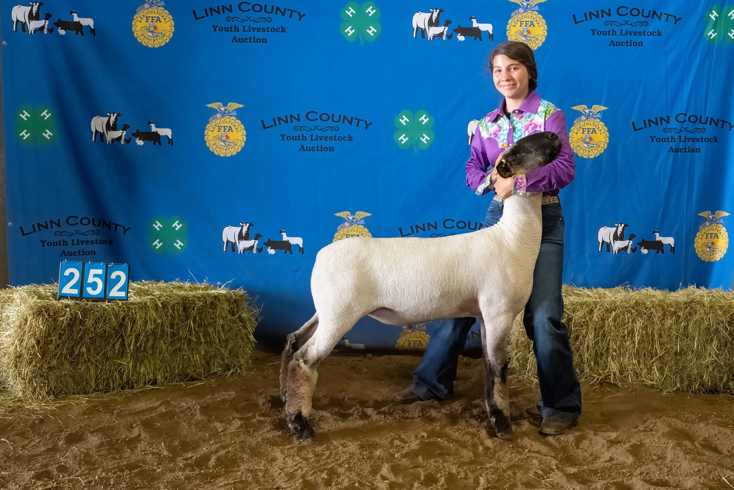 Sheep 252 (0268).jpg