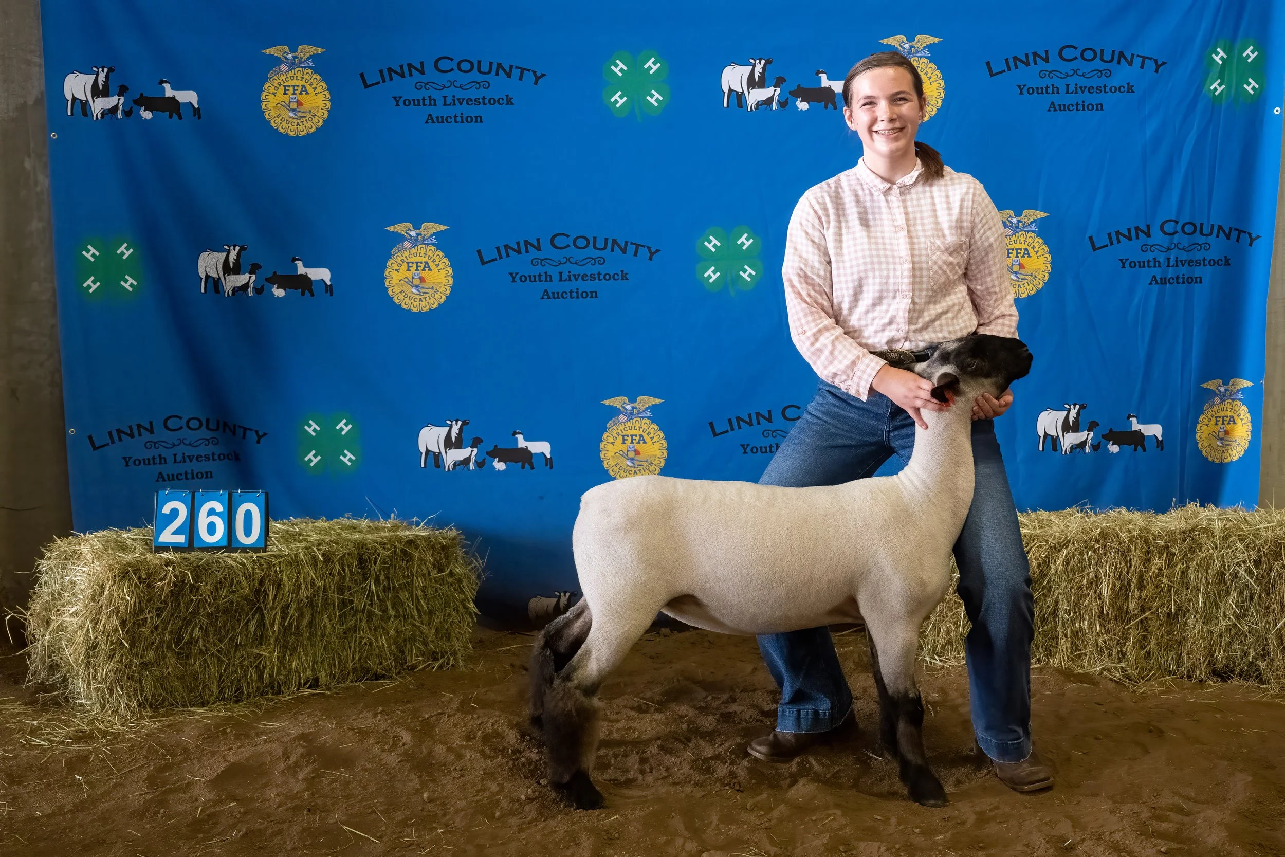 Sheep 260 (0229).jpg