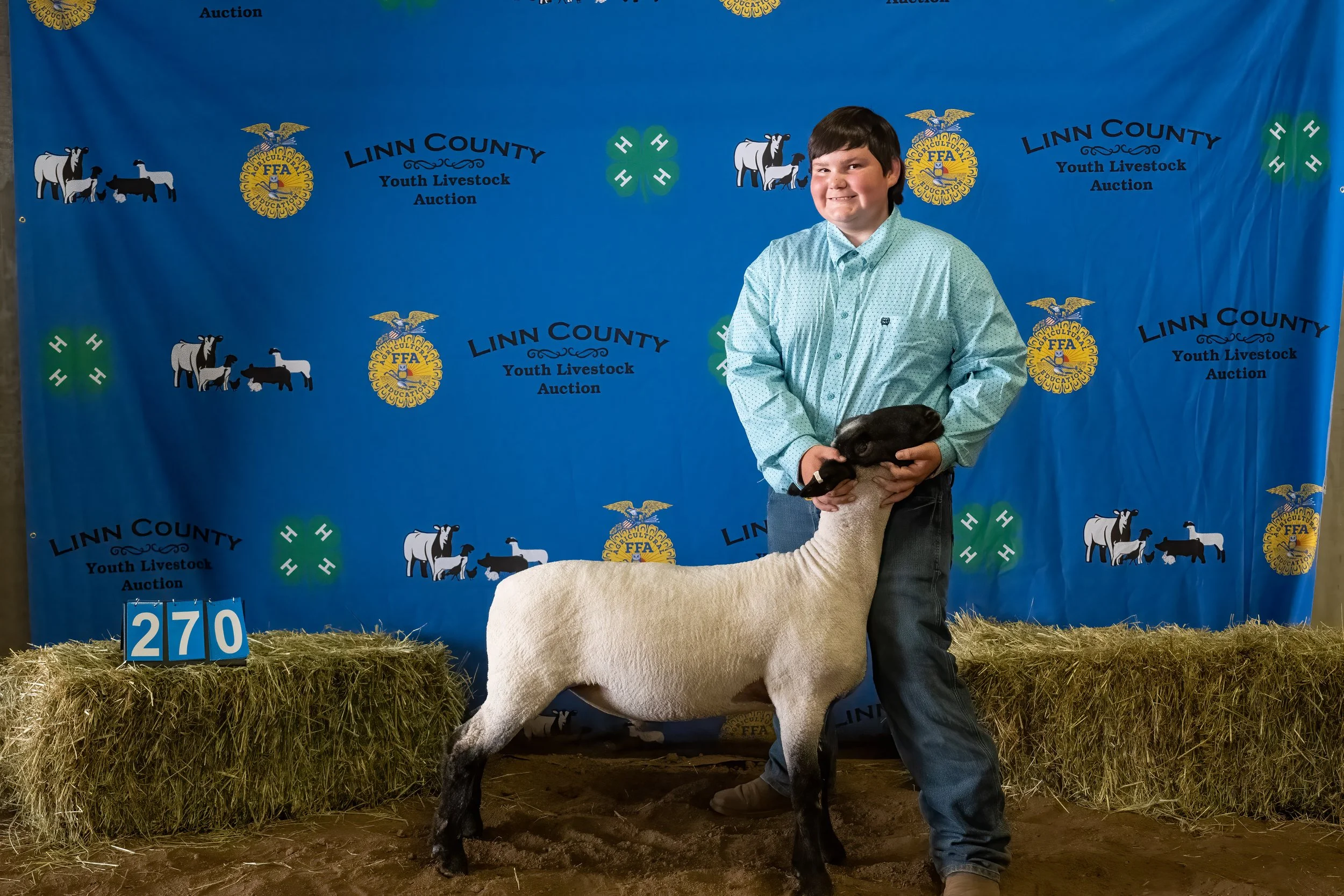 Sheep 270 (0105).jpg