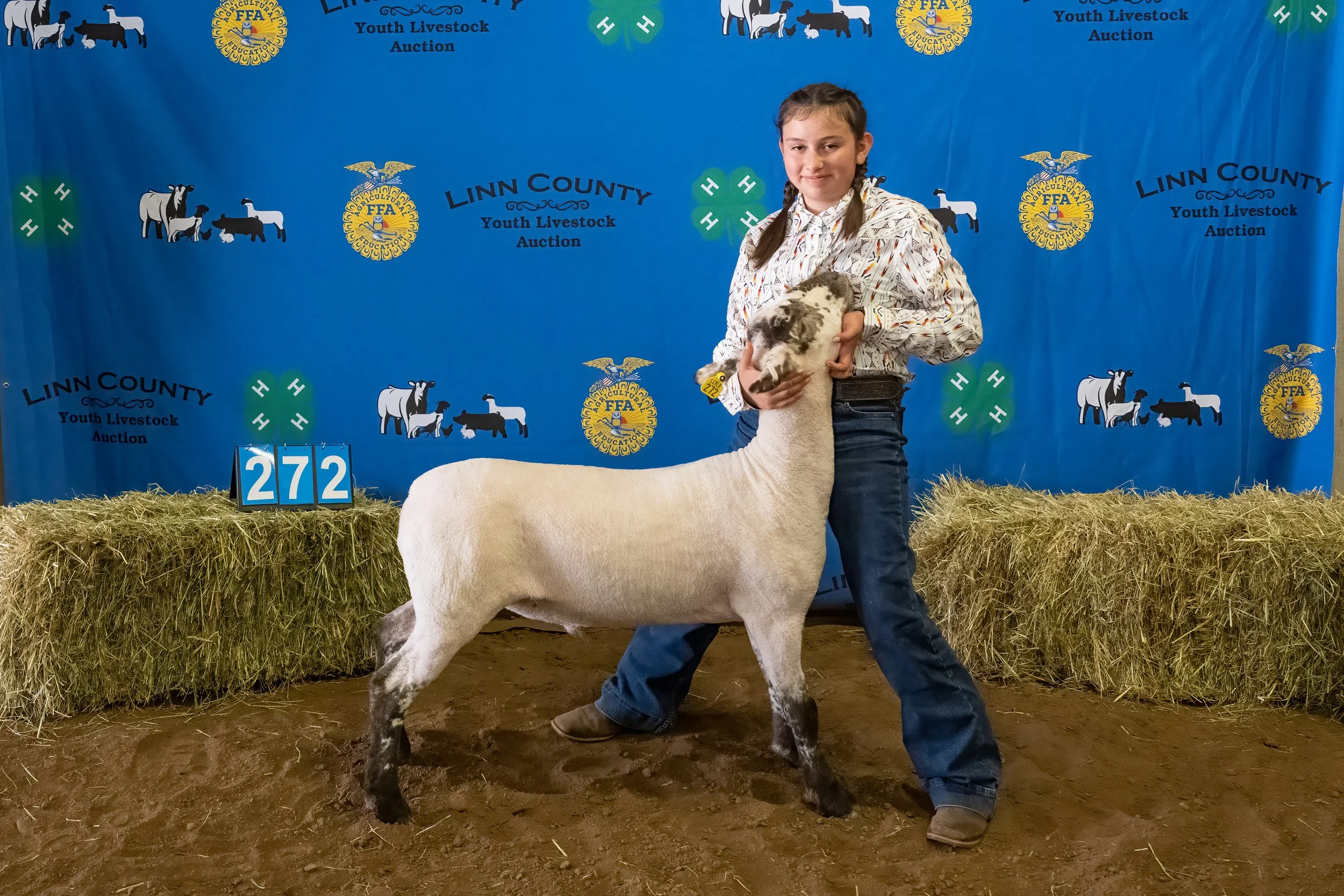 Sheep 272 (0018).jpg