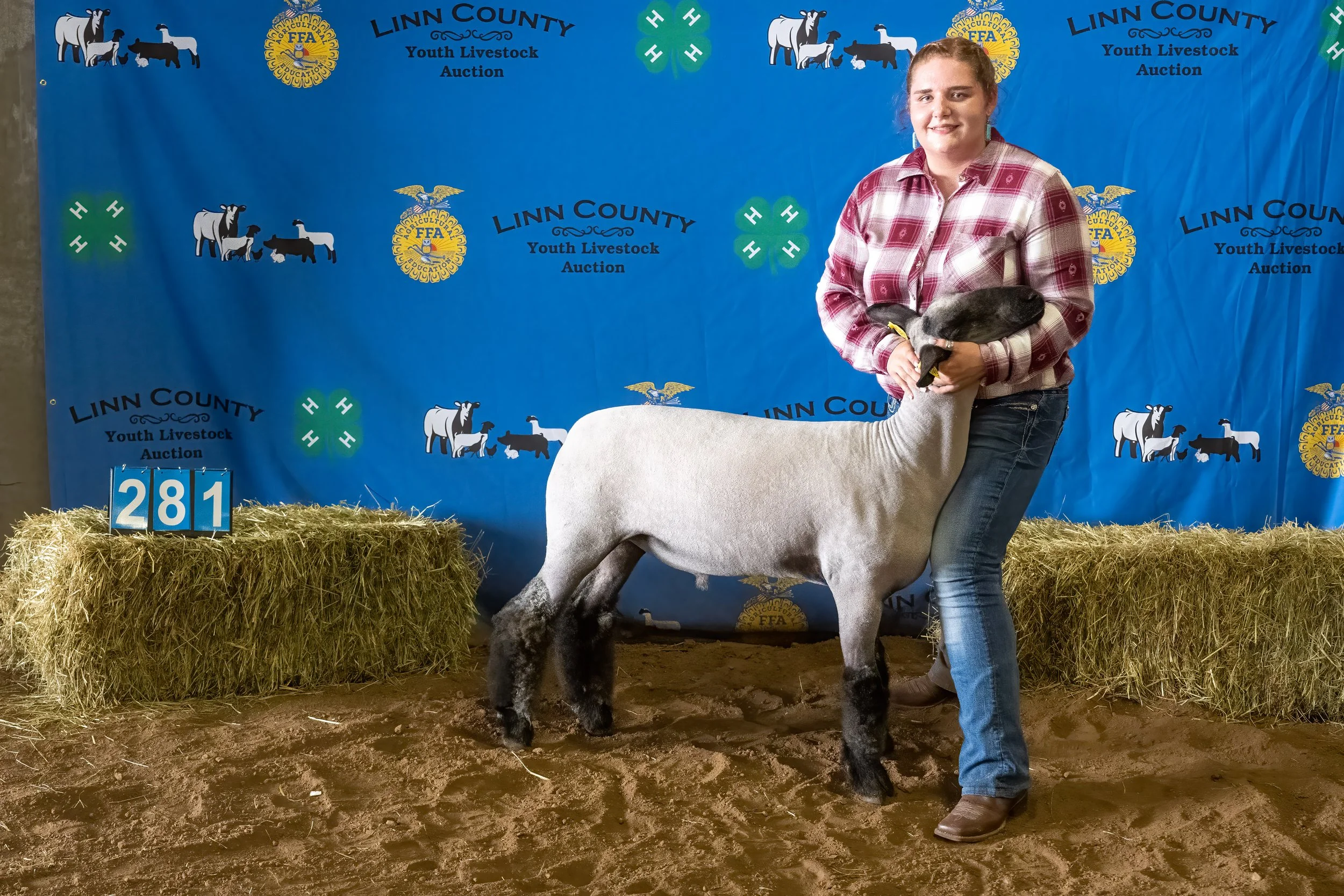 Sheep 281 (0363).jpg