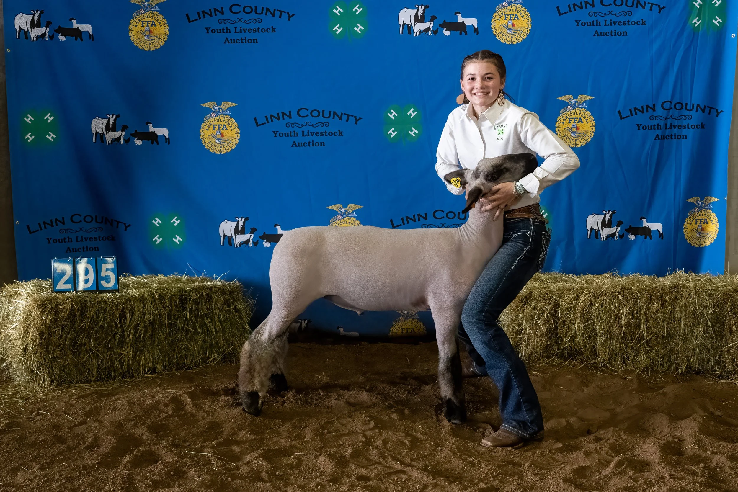 Sheep 295 (0428).jpg