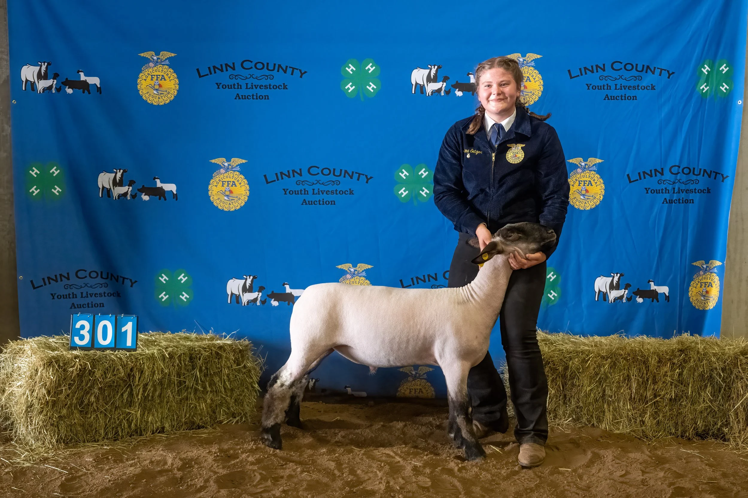 Sheep 301 (0213).jpg