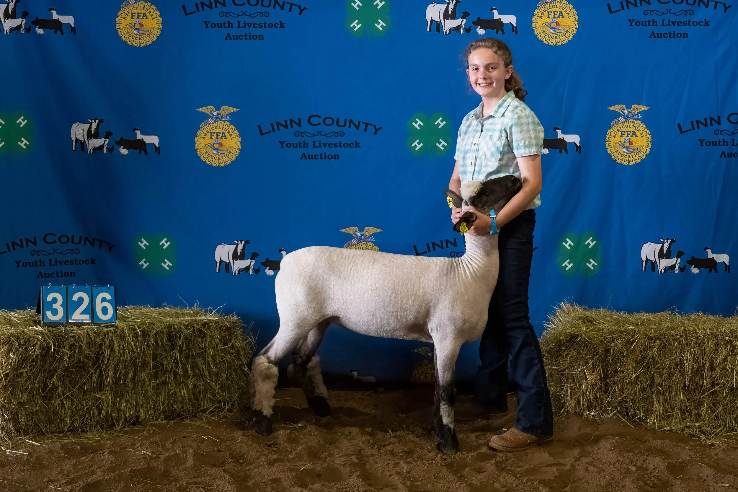 Sheep 326 (0114).jpg