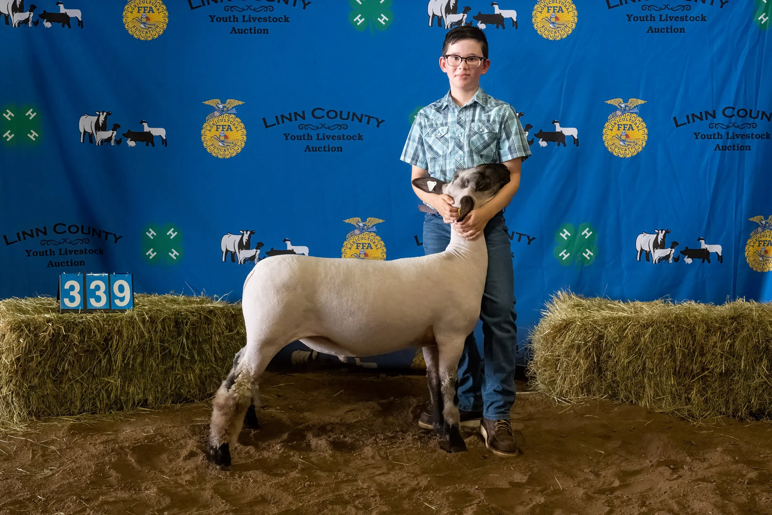 Sheep 339 (0187).jpg