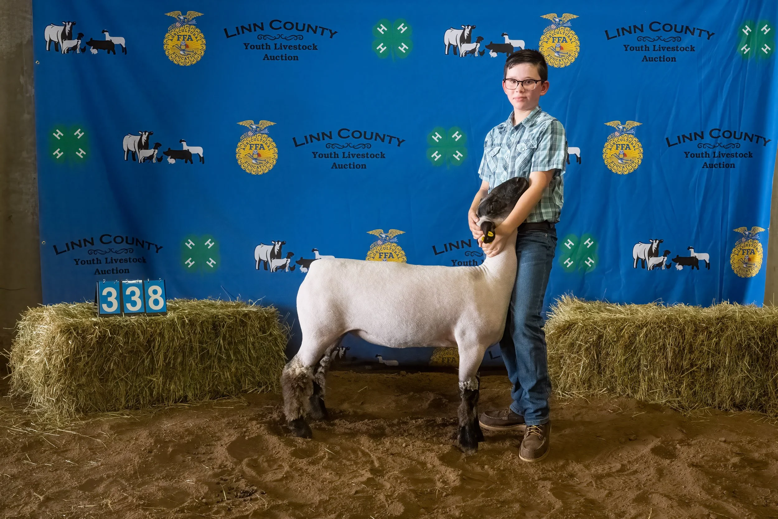 Sheep 338 (0192).jpg