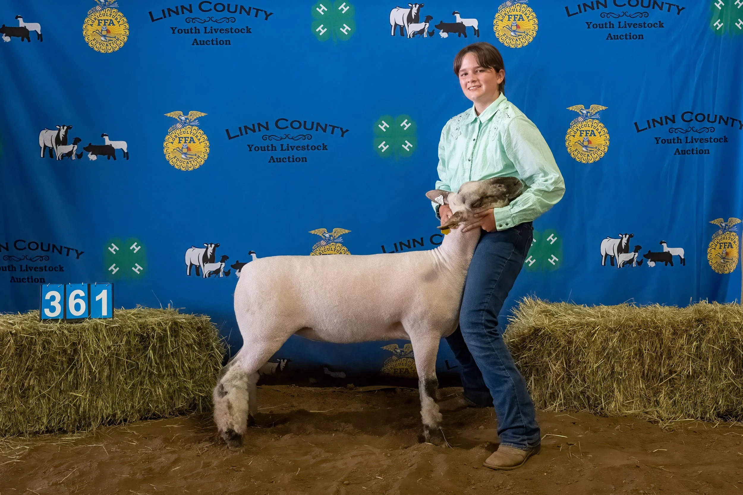 Sheep 361 (0058).jpg