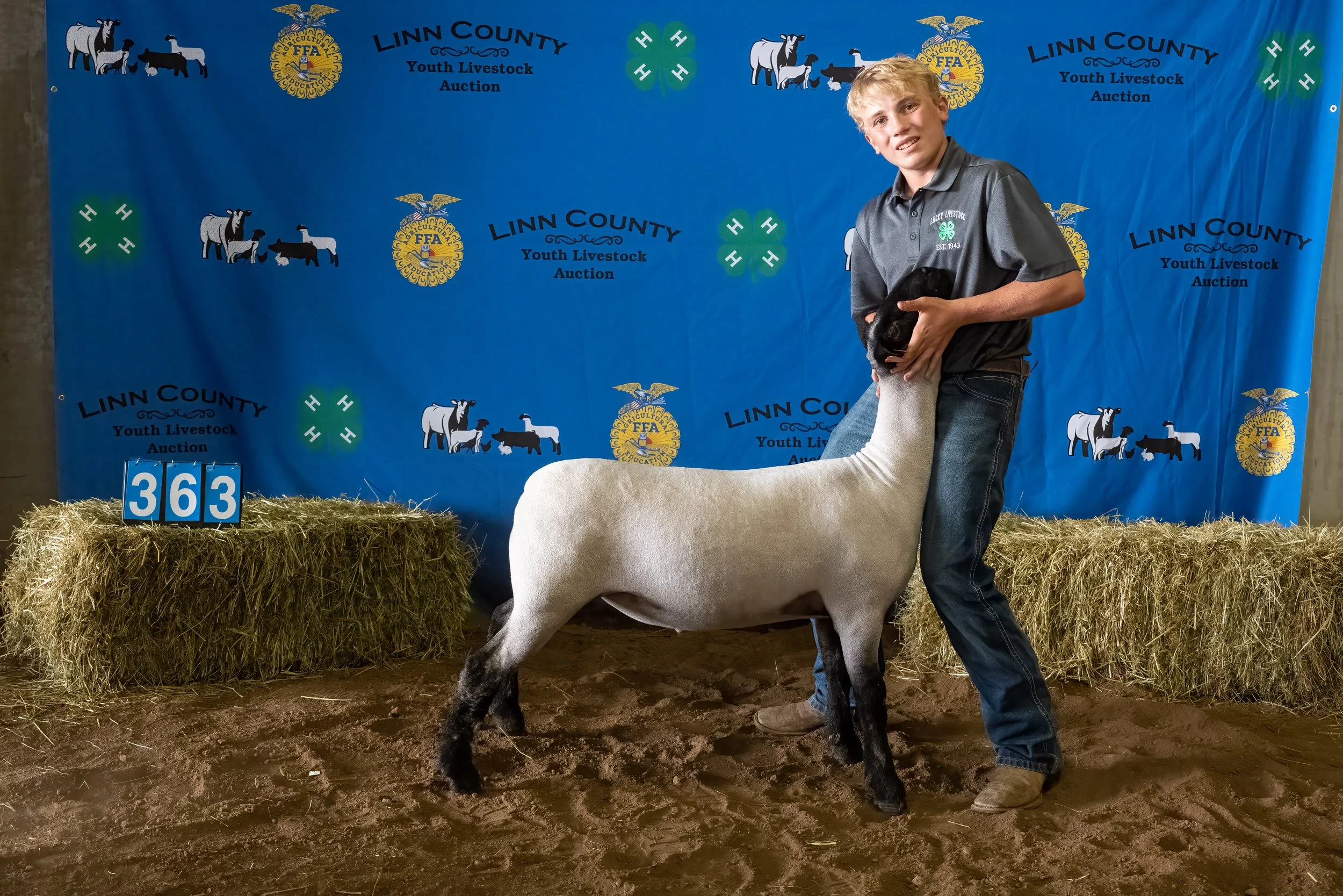 Sheep 363 (0366).jpg