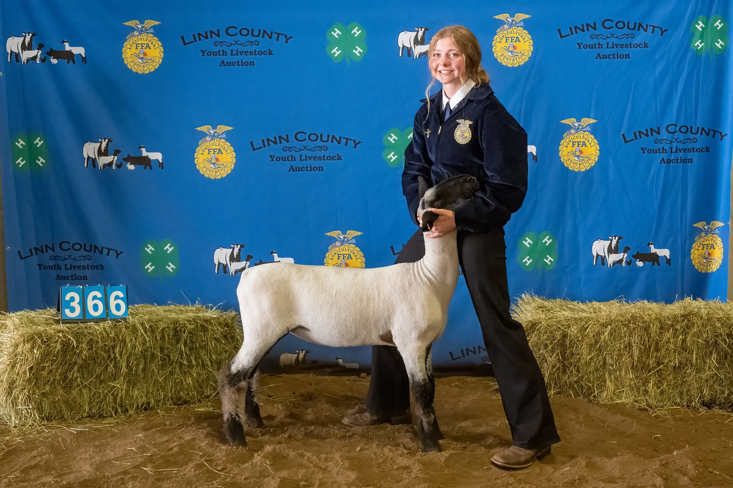 Sheep 366 (0070).jpg