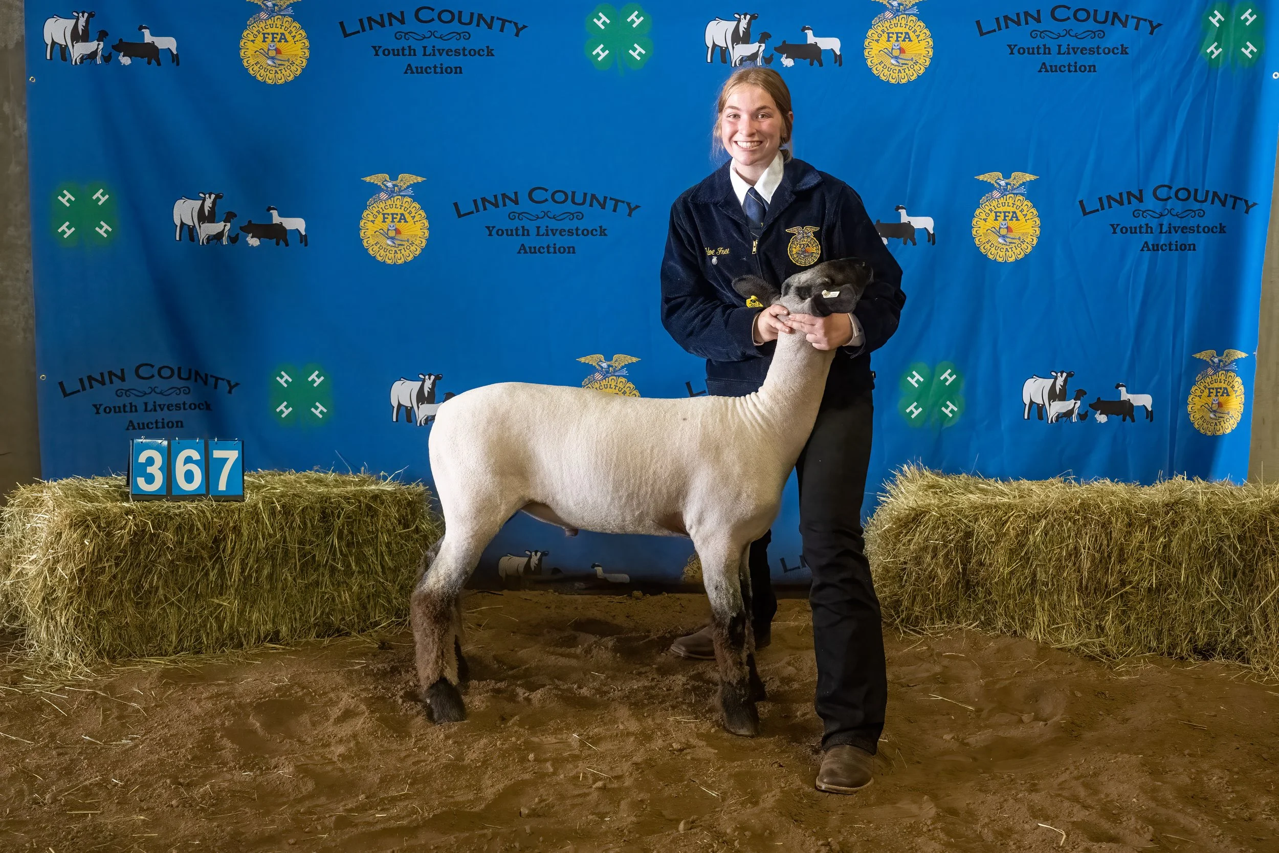 Sheep 367 (0186).jpg