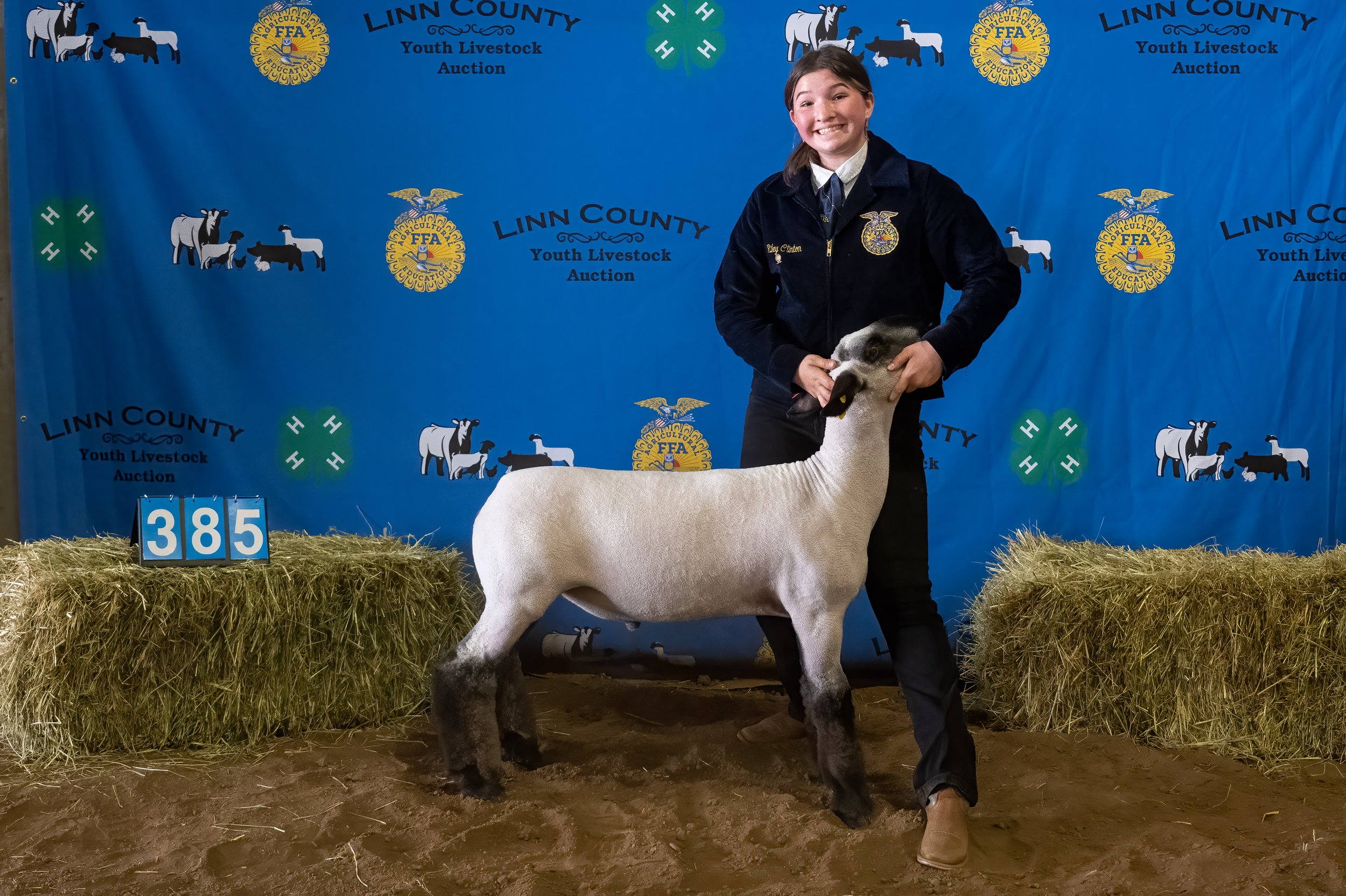 Sheep 385 (0075).jpg