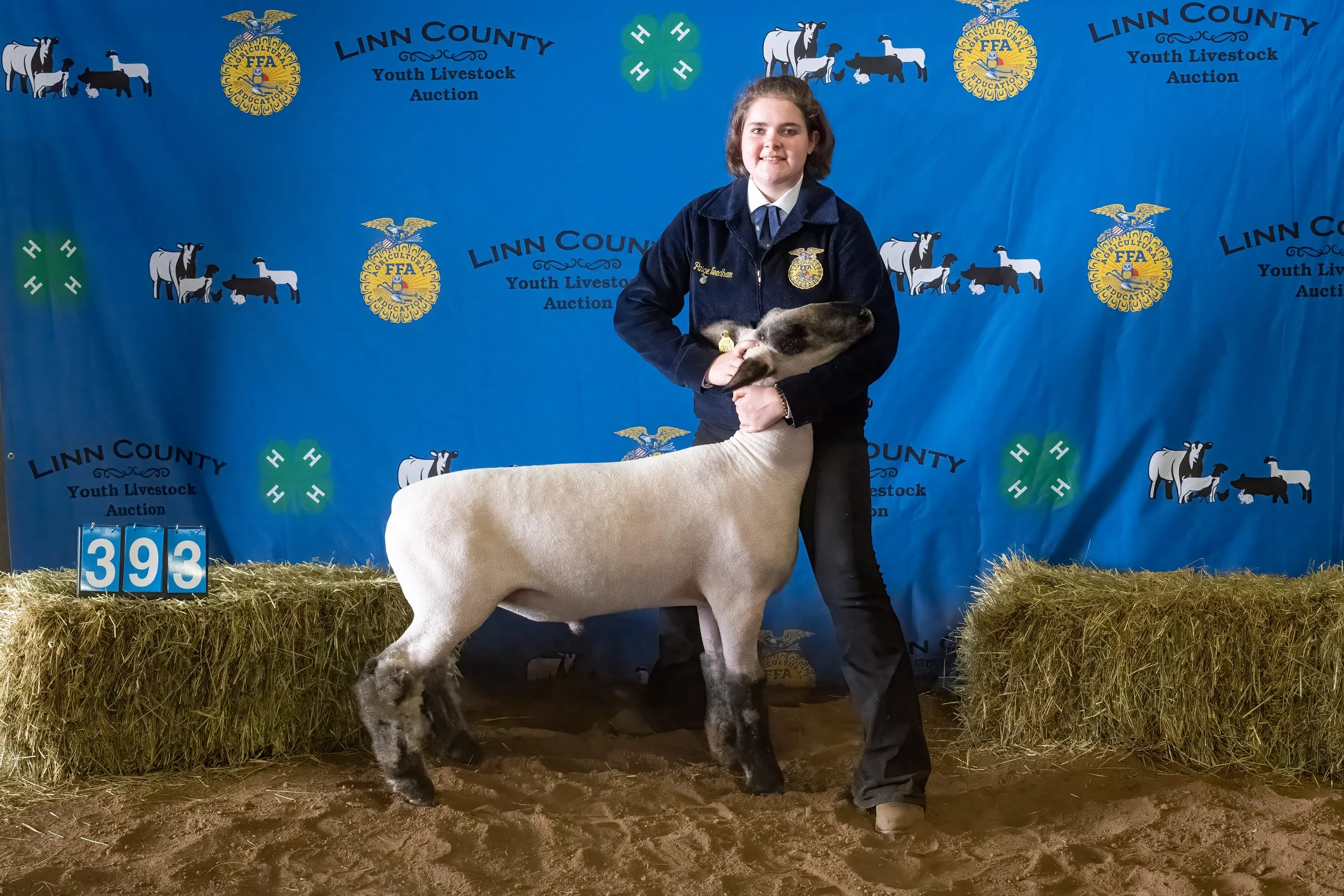 Sheep 393 (0401).jpg