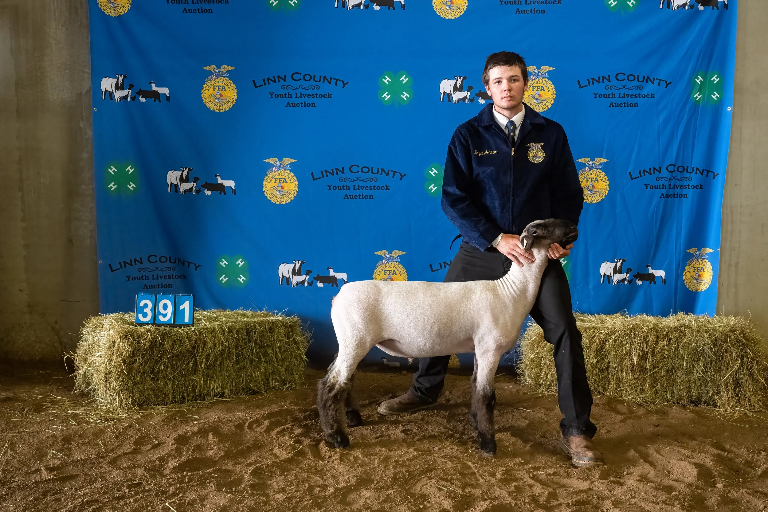 Sheep 391 (0254).jpg