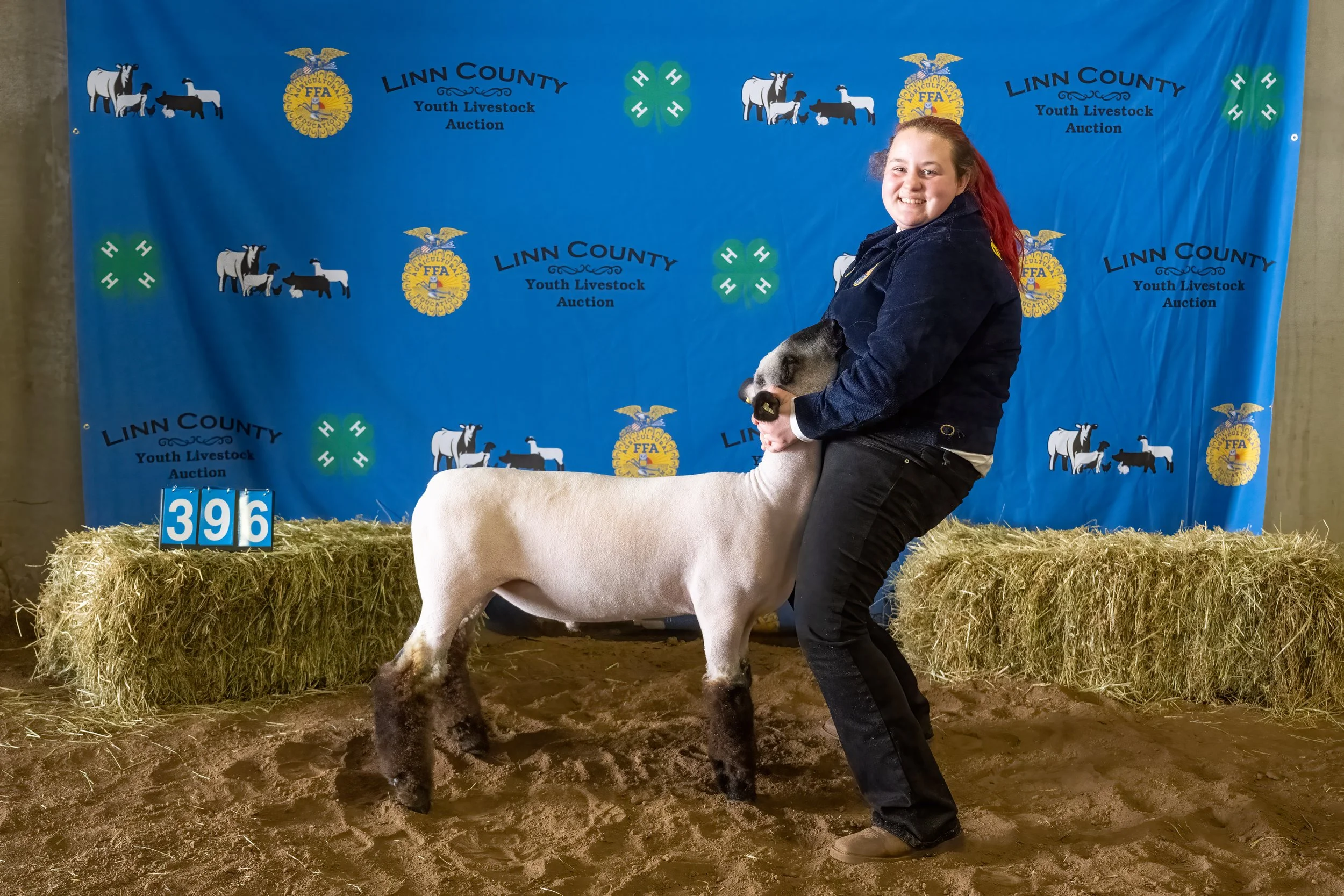 Sheep 396 (0241).jpg