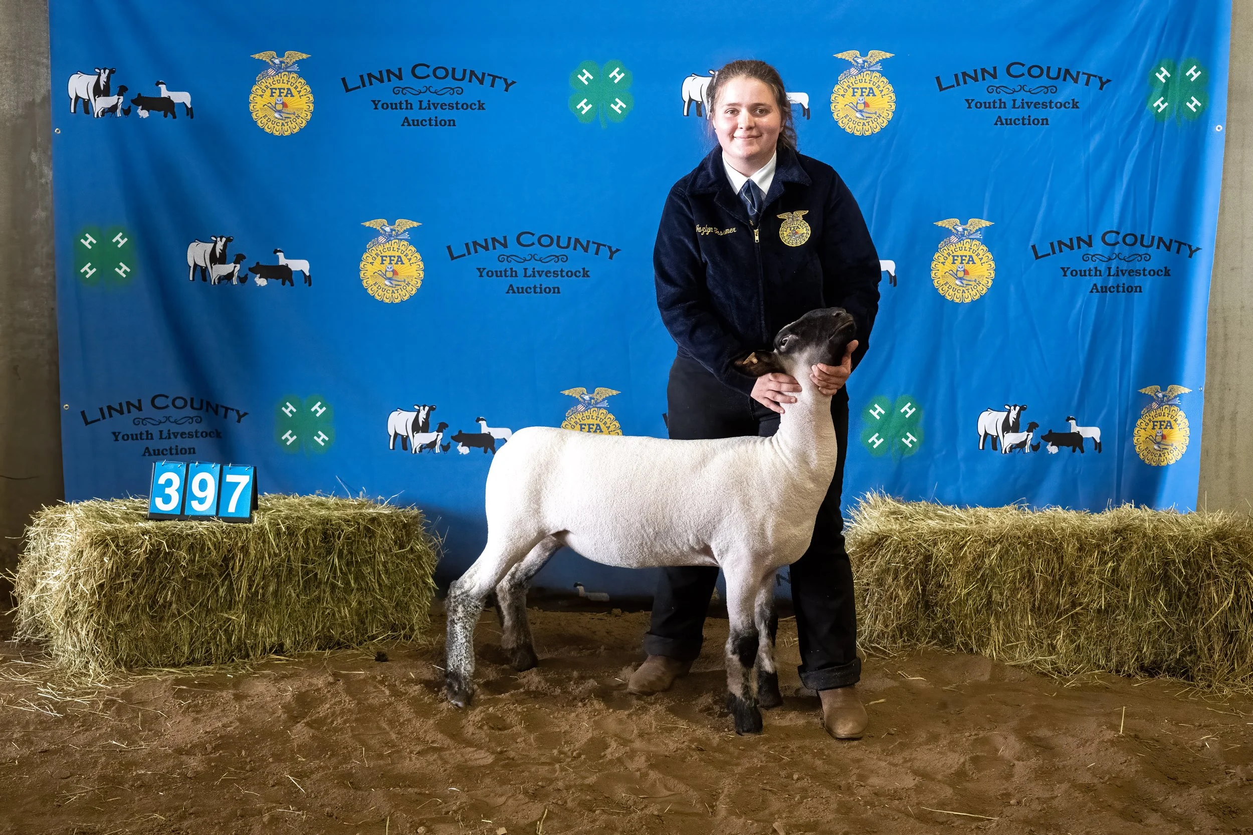 Sheep 397 0157.jpg
