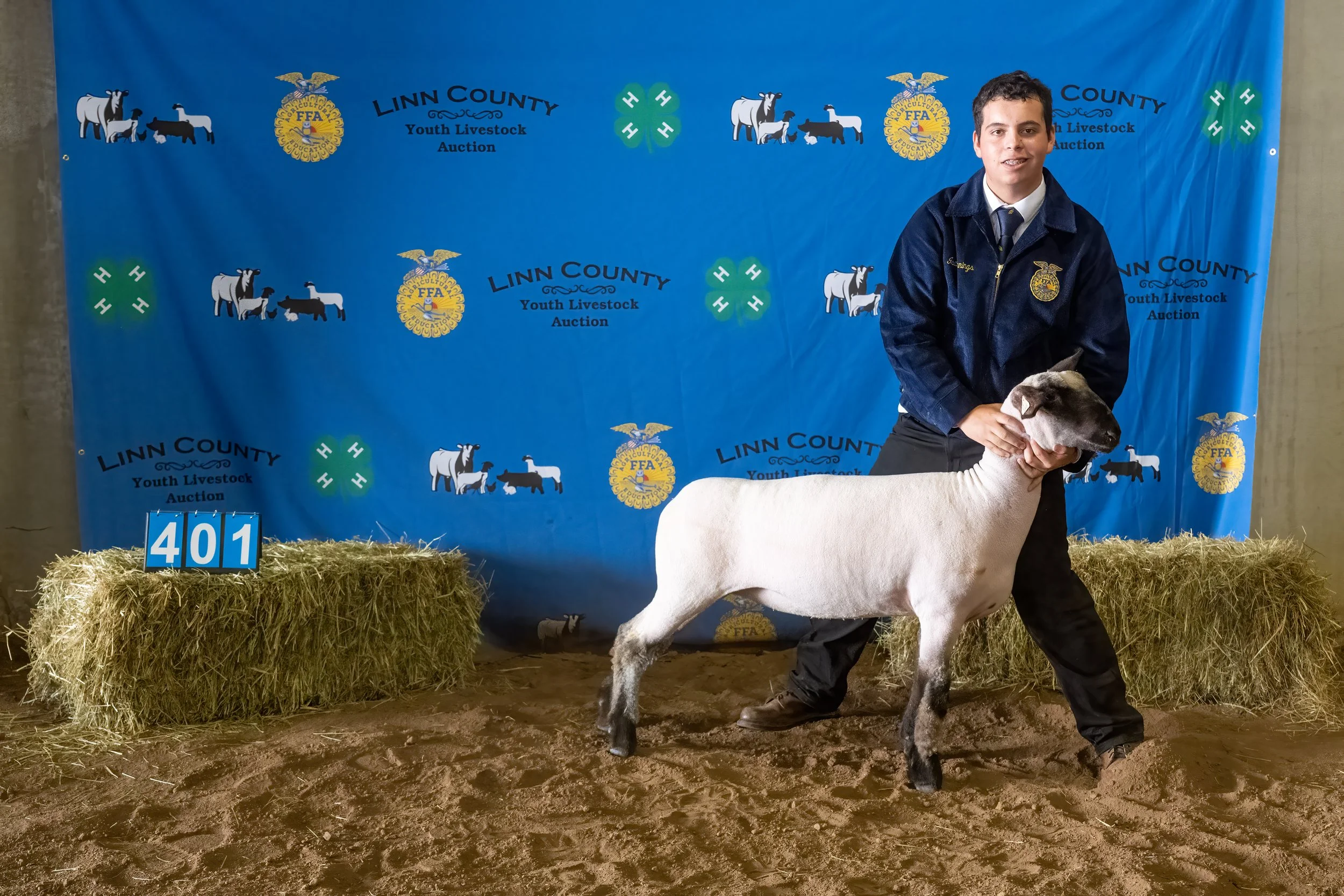 Sheep 401 (0385).jpg