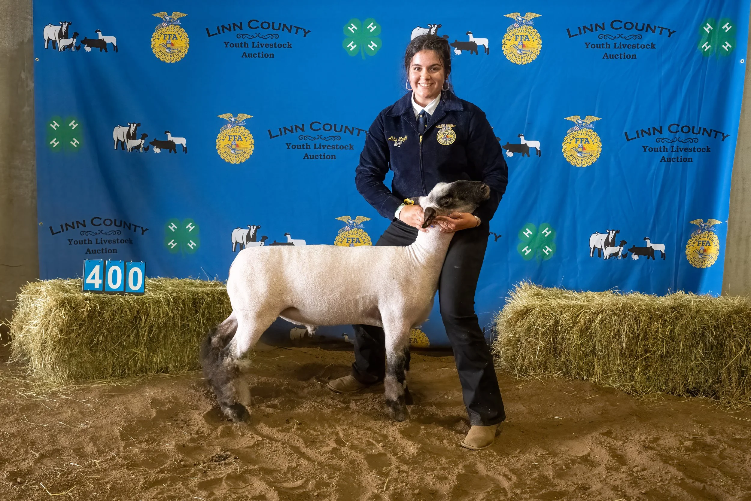 Sheep 400 (0198).jpg