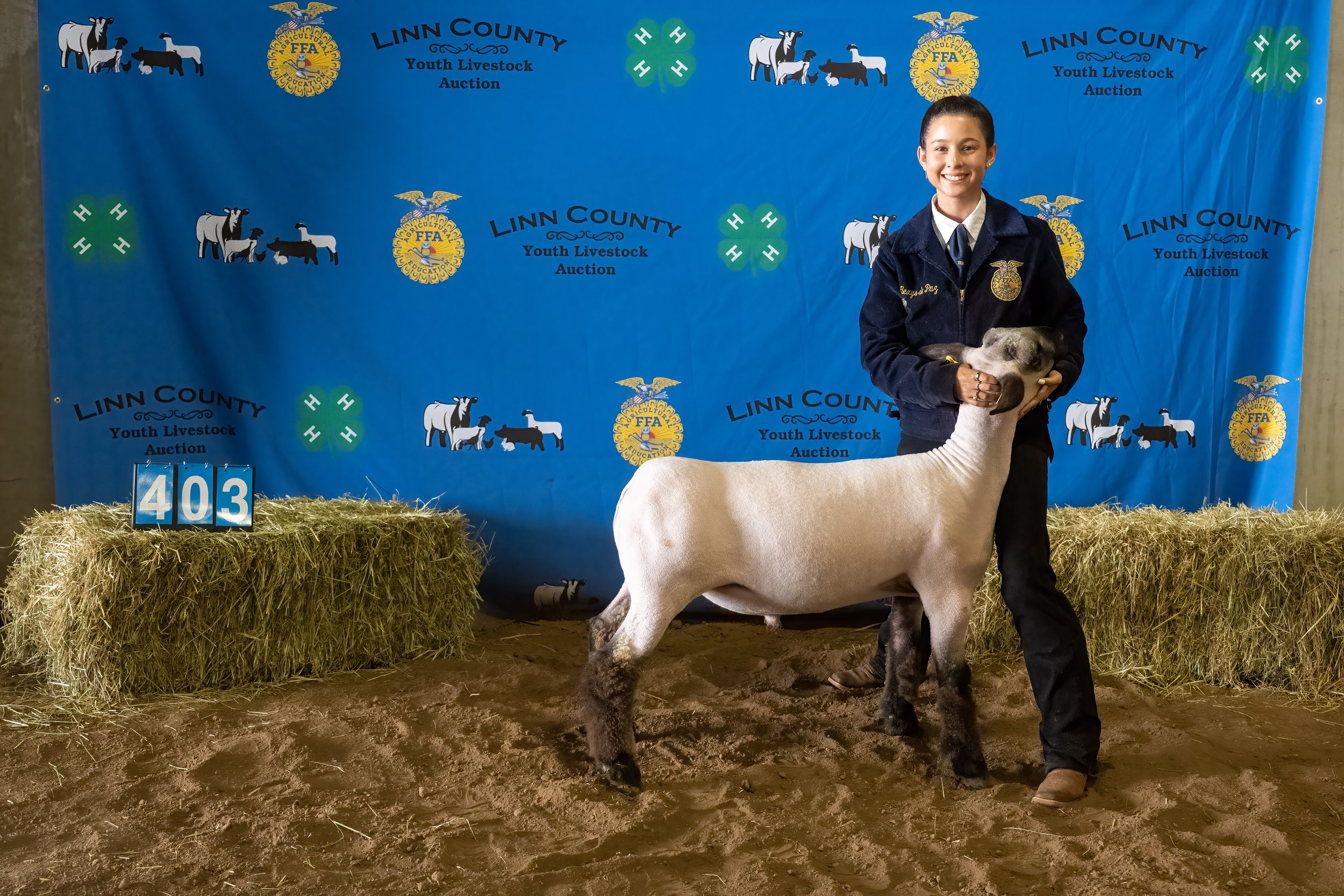 Sheep 403 (0233).jpg