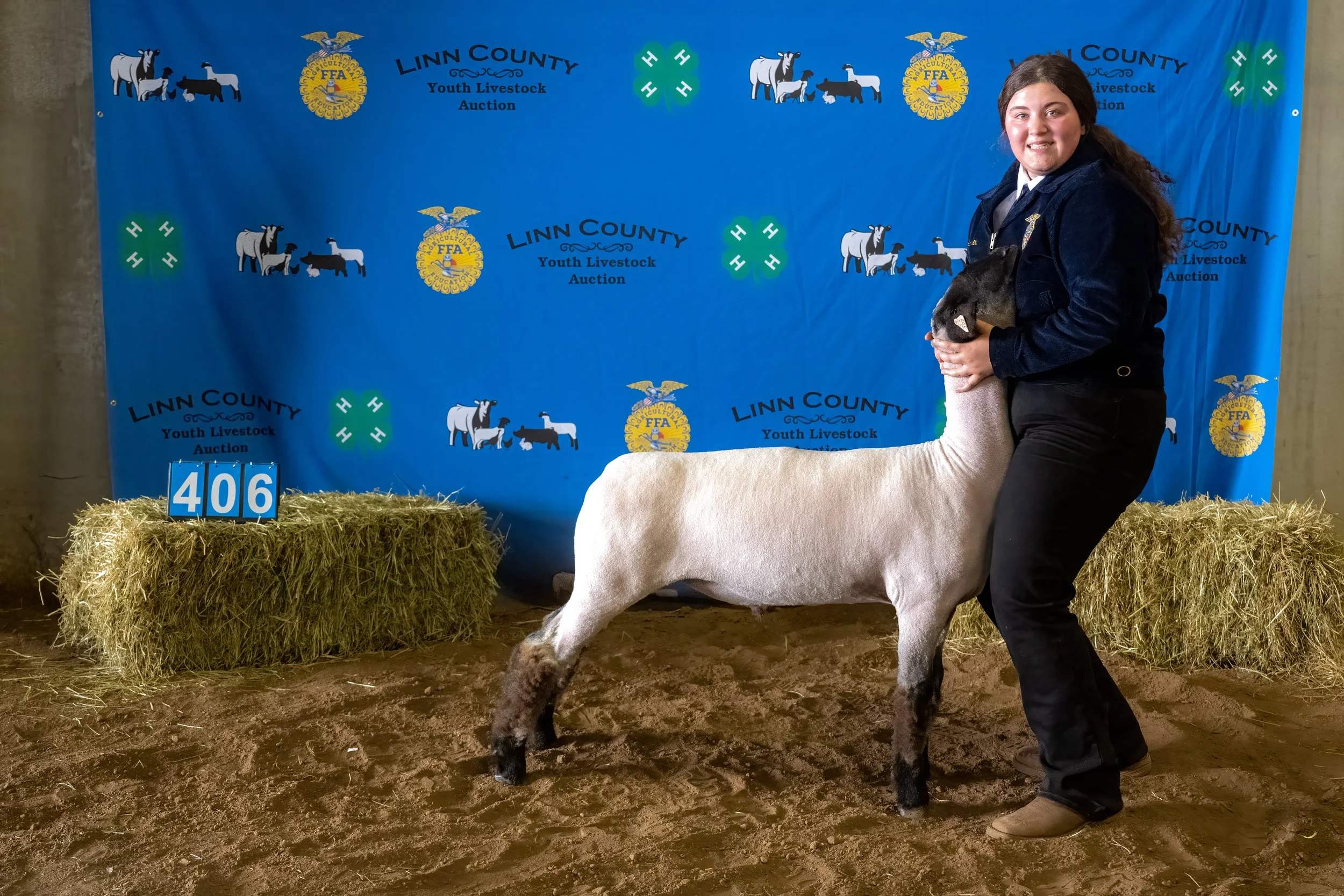 Sheep 406 (0351).jpg