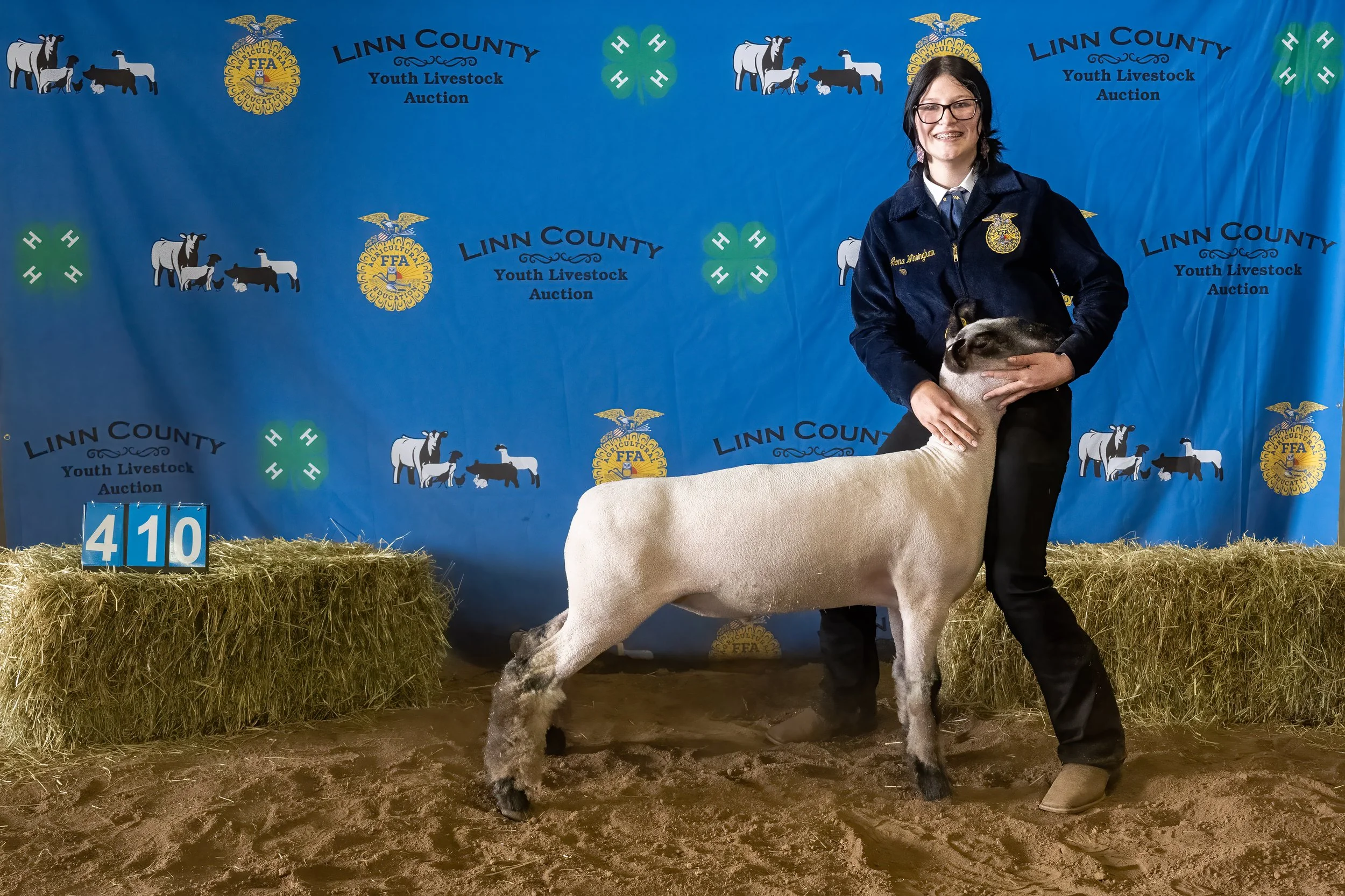 Sheep 410 (0454).jpg