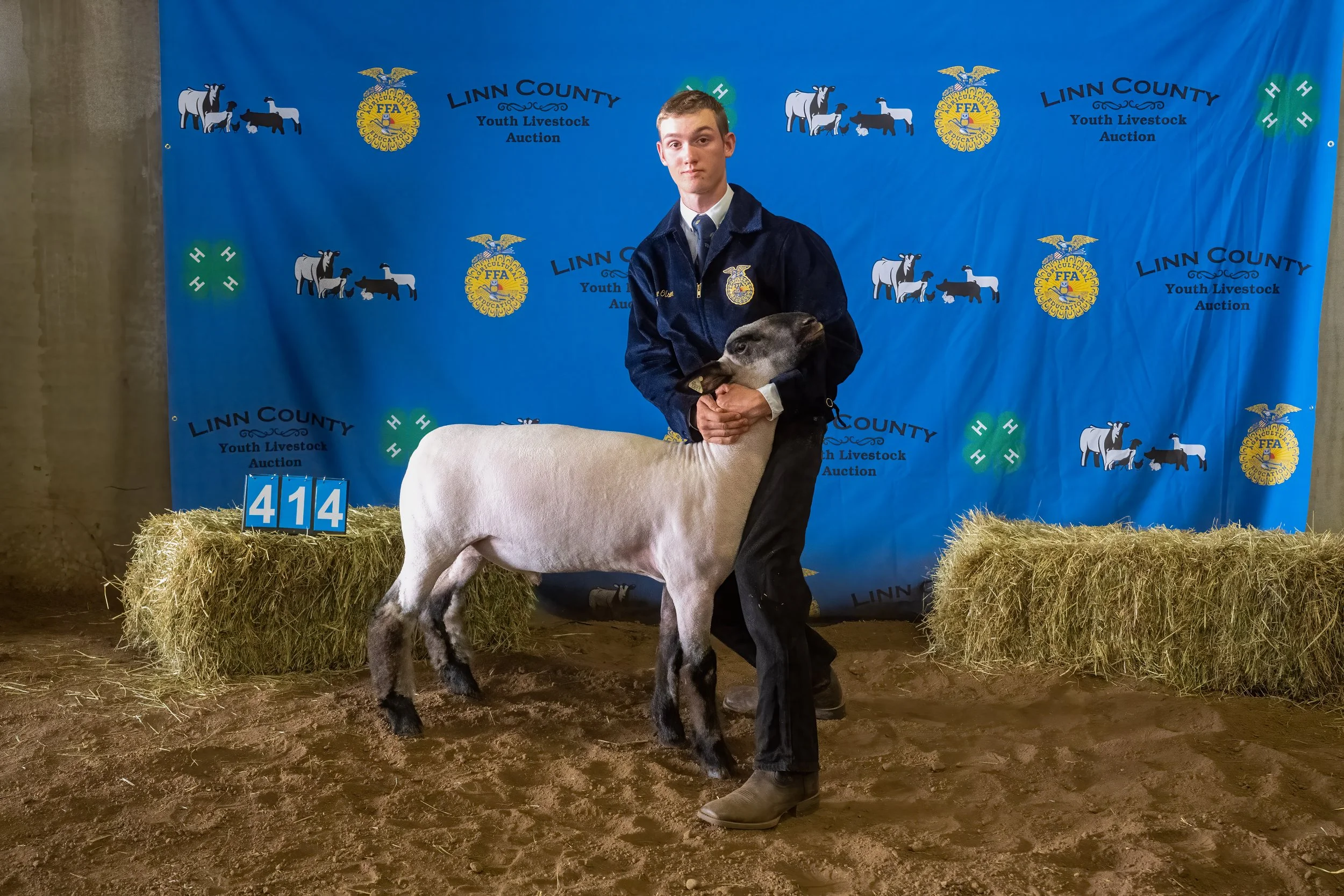 Sheep 414 (0341).jpg