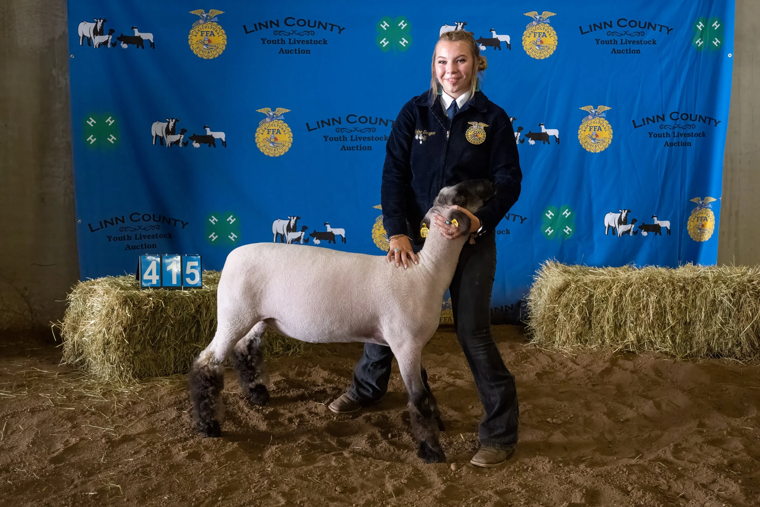 Sheep 415 (0331).jpg