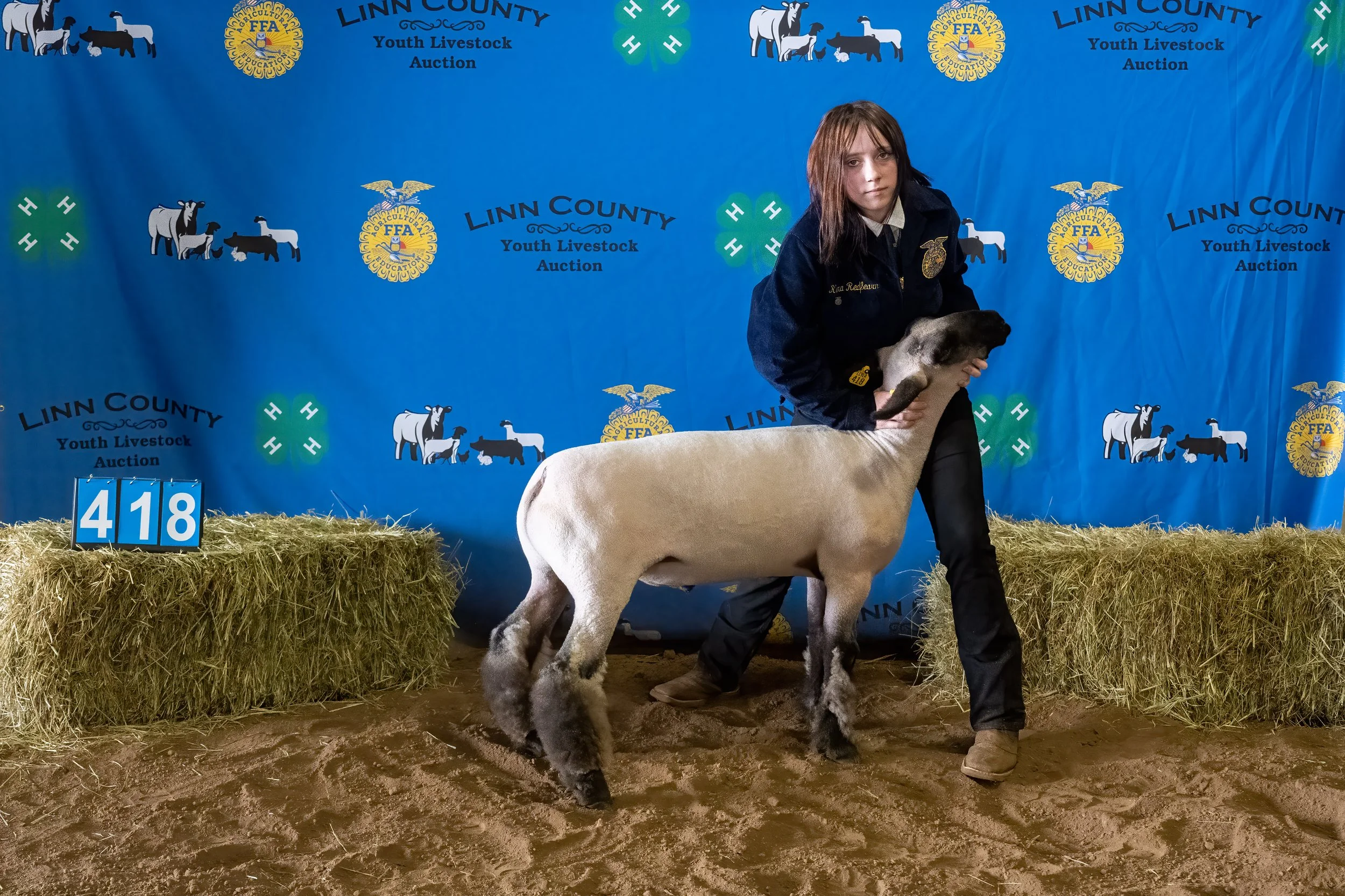 Sheep 418 (0262).jpg